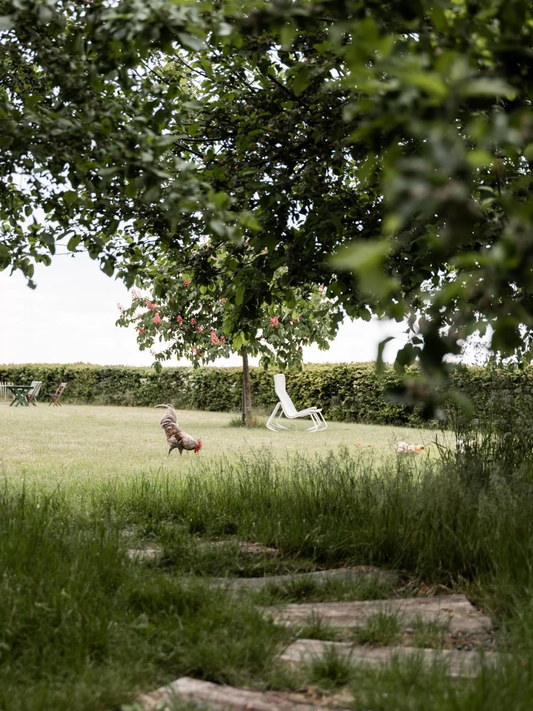 Garden in Sköllengården