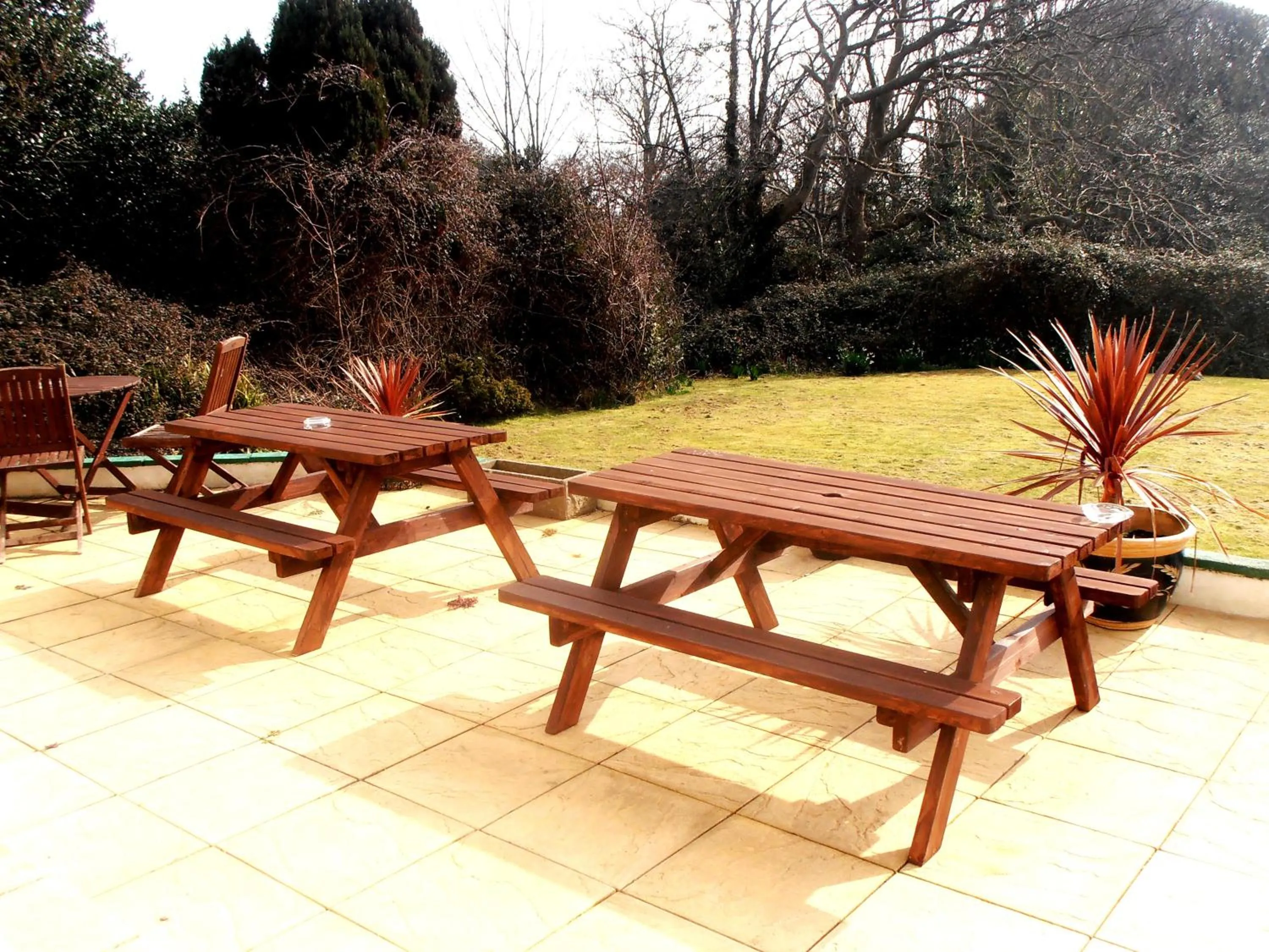 Restaurant/places to eat in Altavia Hotel