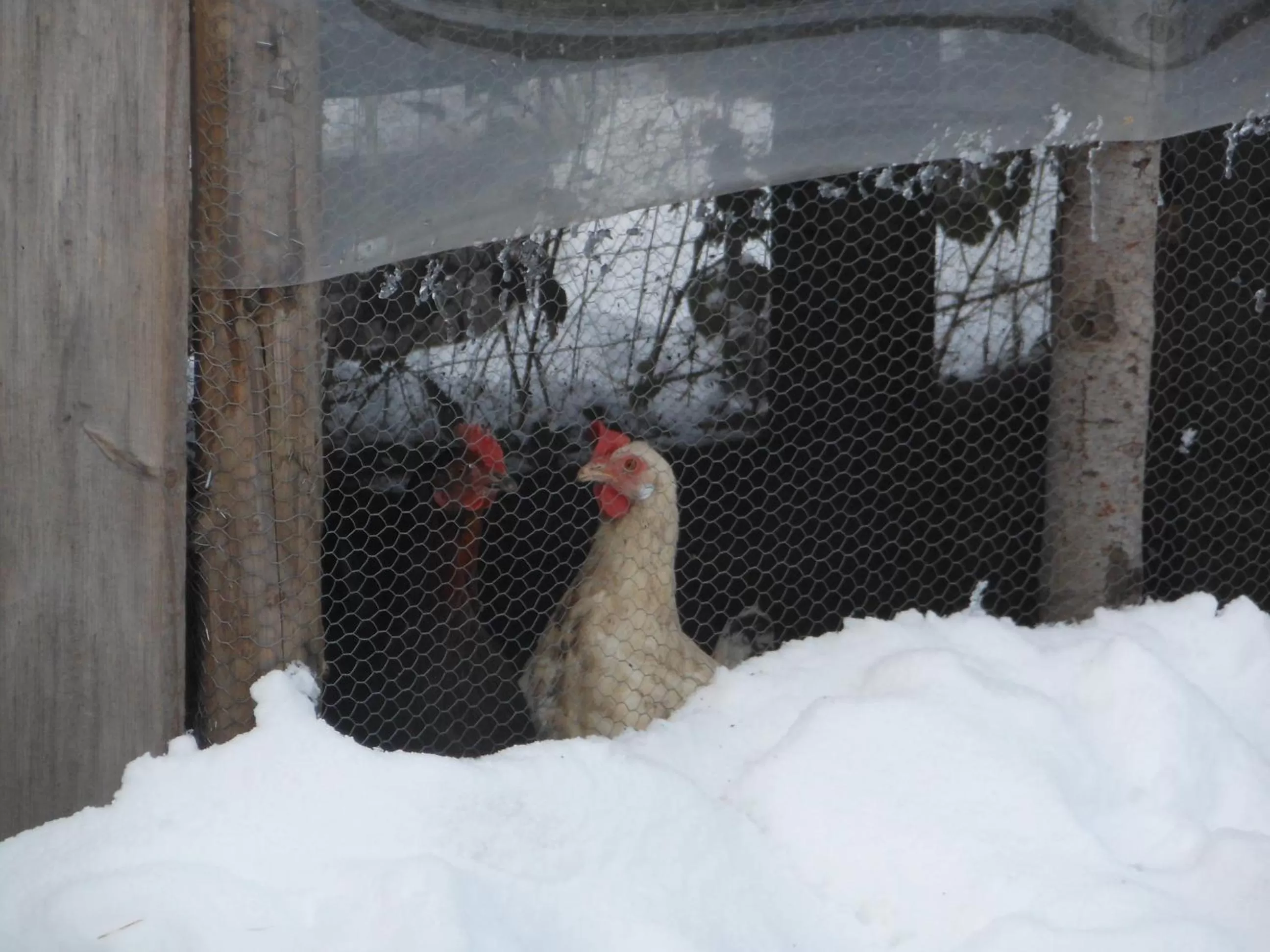 L'Atelier de Gisèle