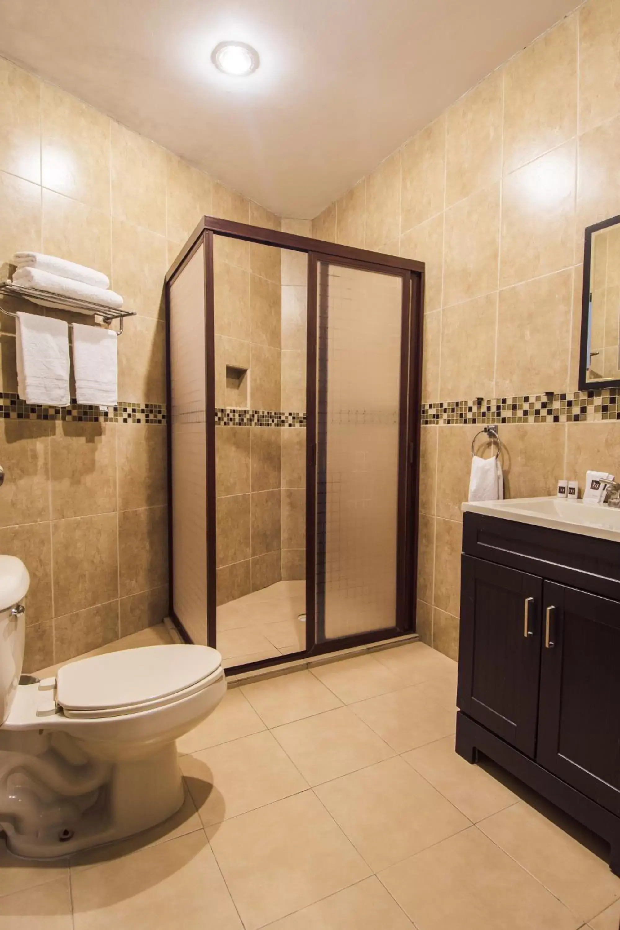 Shower, Bathroom in Hotel Majova Inn Xalapa