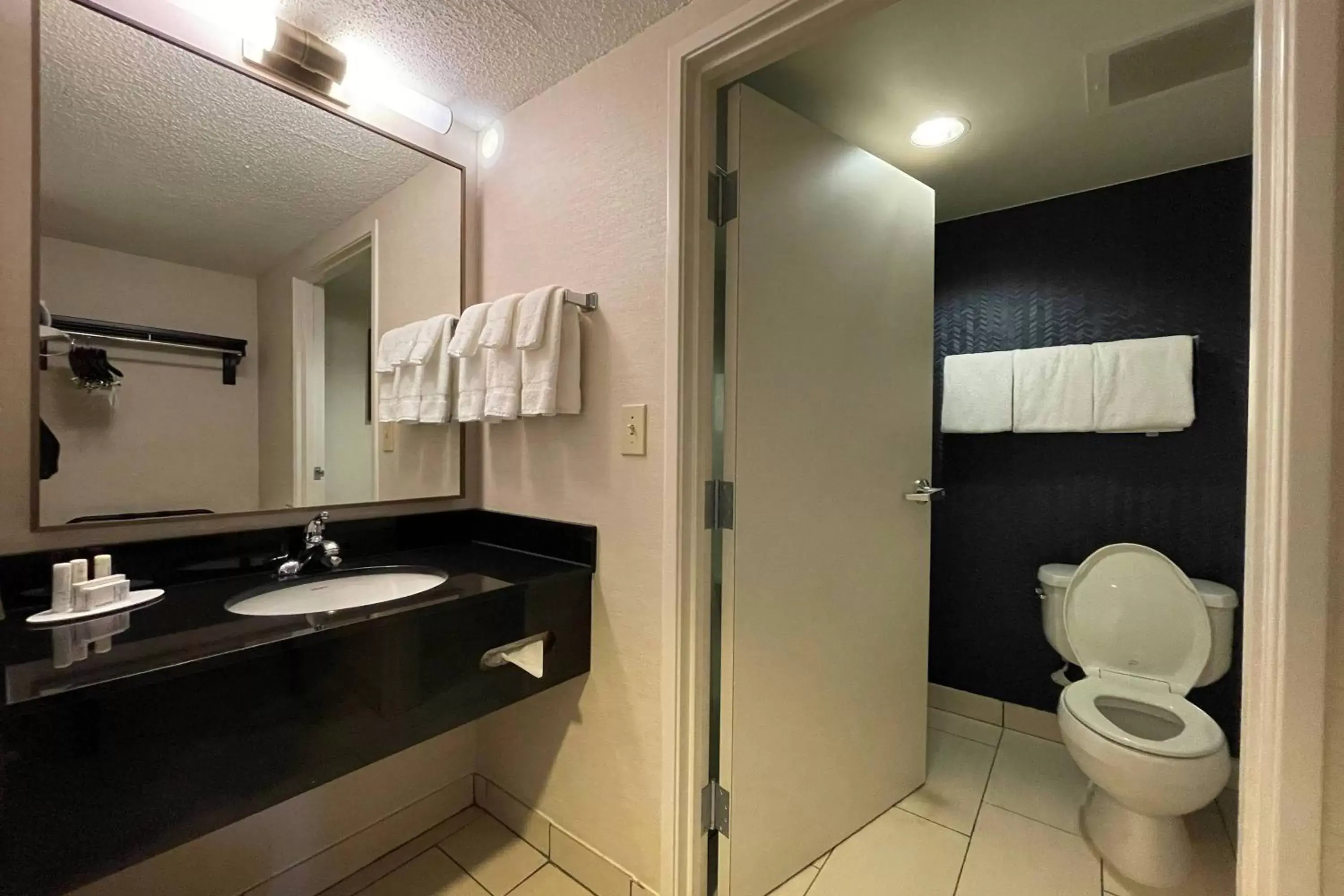 Bathroom in Fairfield Inn & Suites Jackson Airport