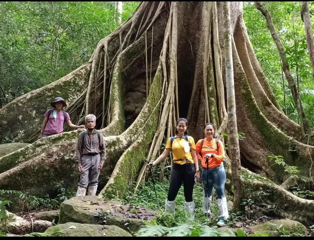 Pakchong hostel & wildlife tour