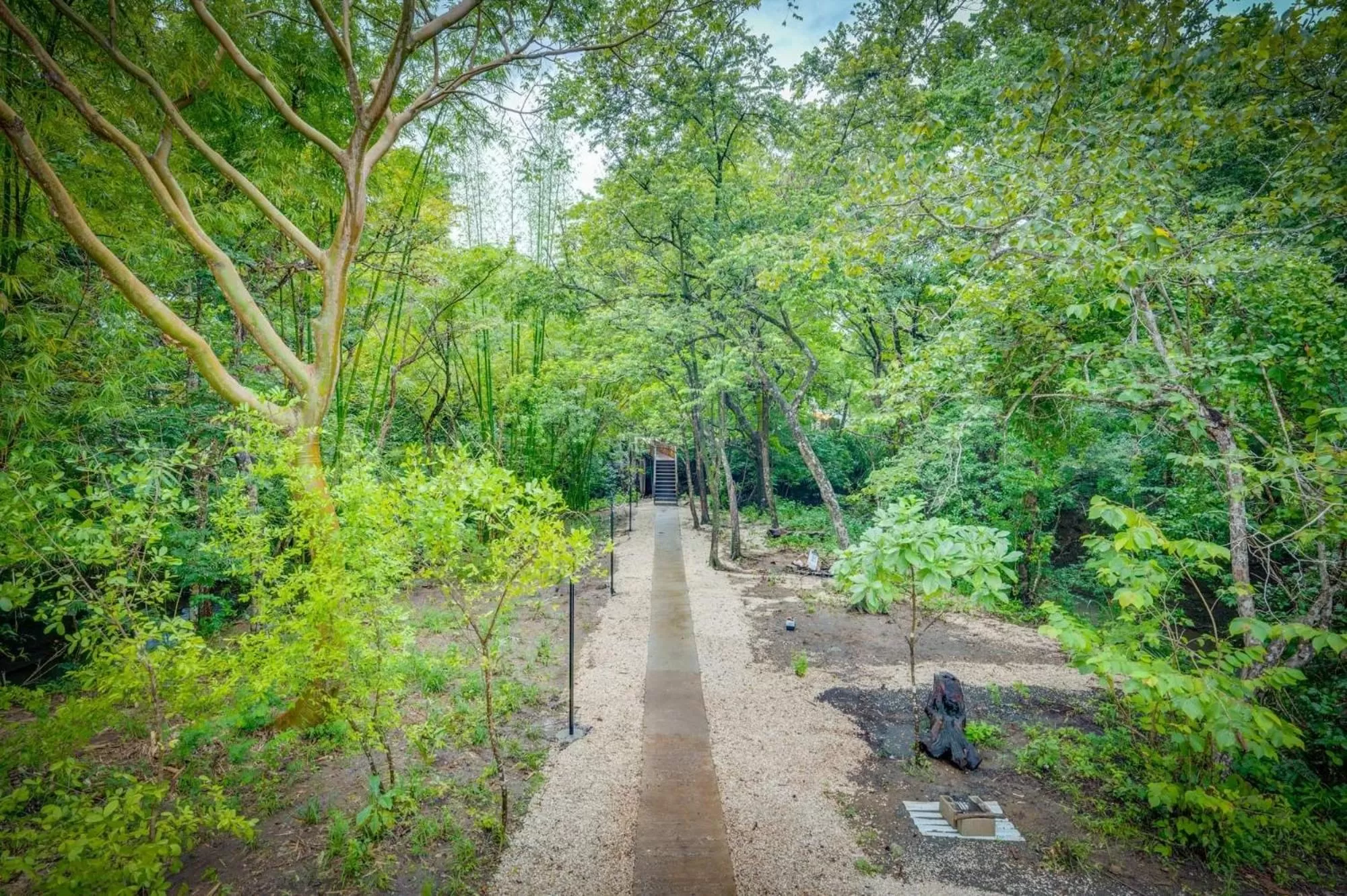 Antema Lodge Secteur Tamarindo, piscine, yoga, gym, jungle et paix