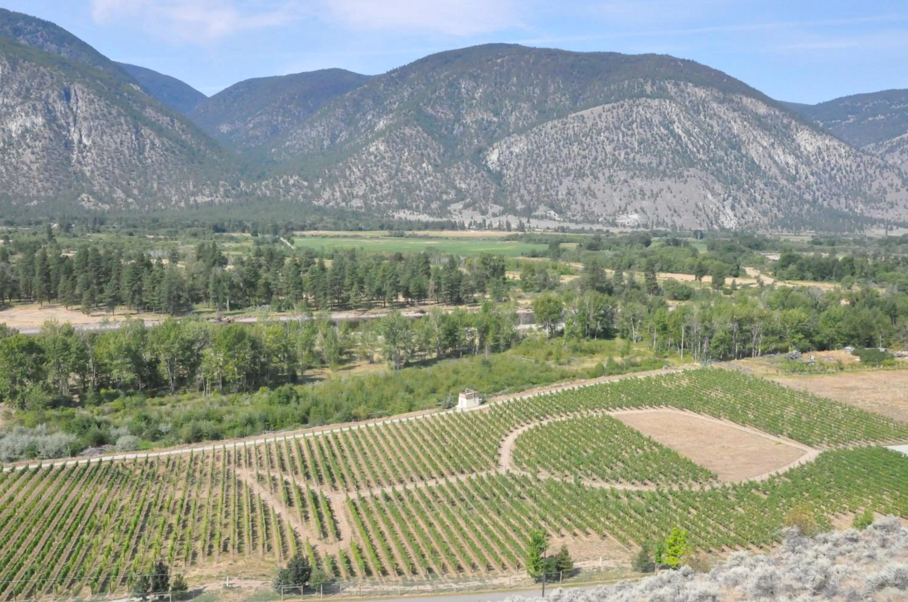 Bird's eye view, Bird's-eye View in Similkameen Wild Resort & Winery Retreat