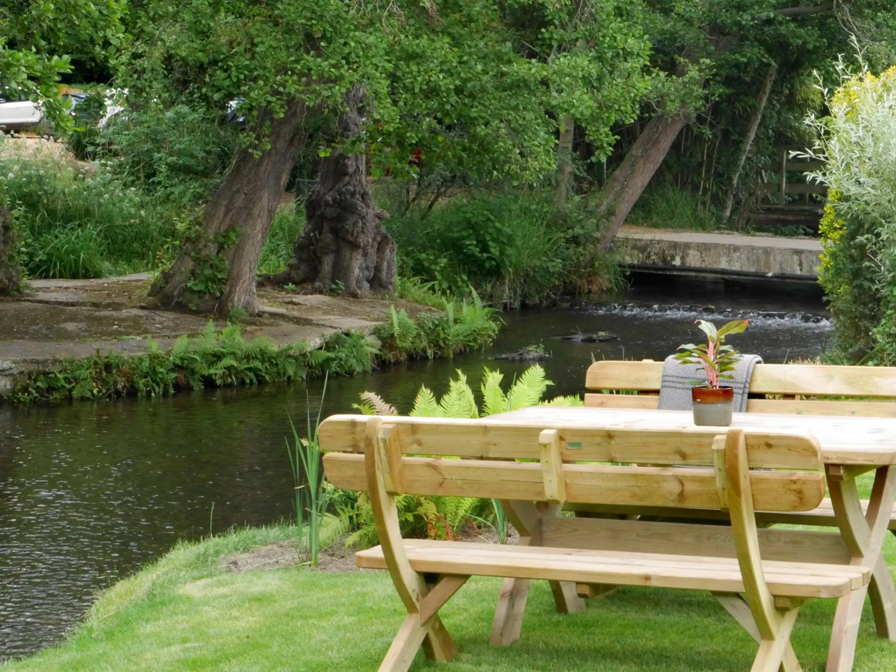 Garden in The Drummond at Albury