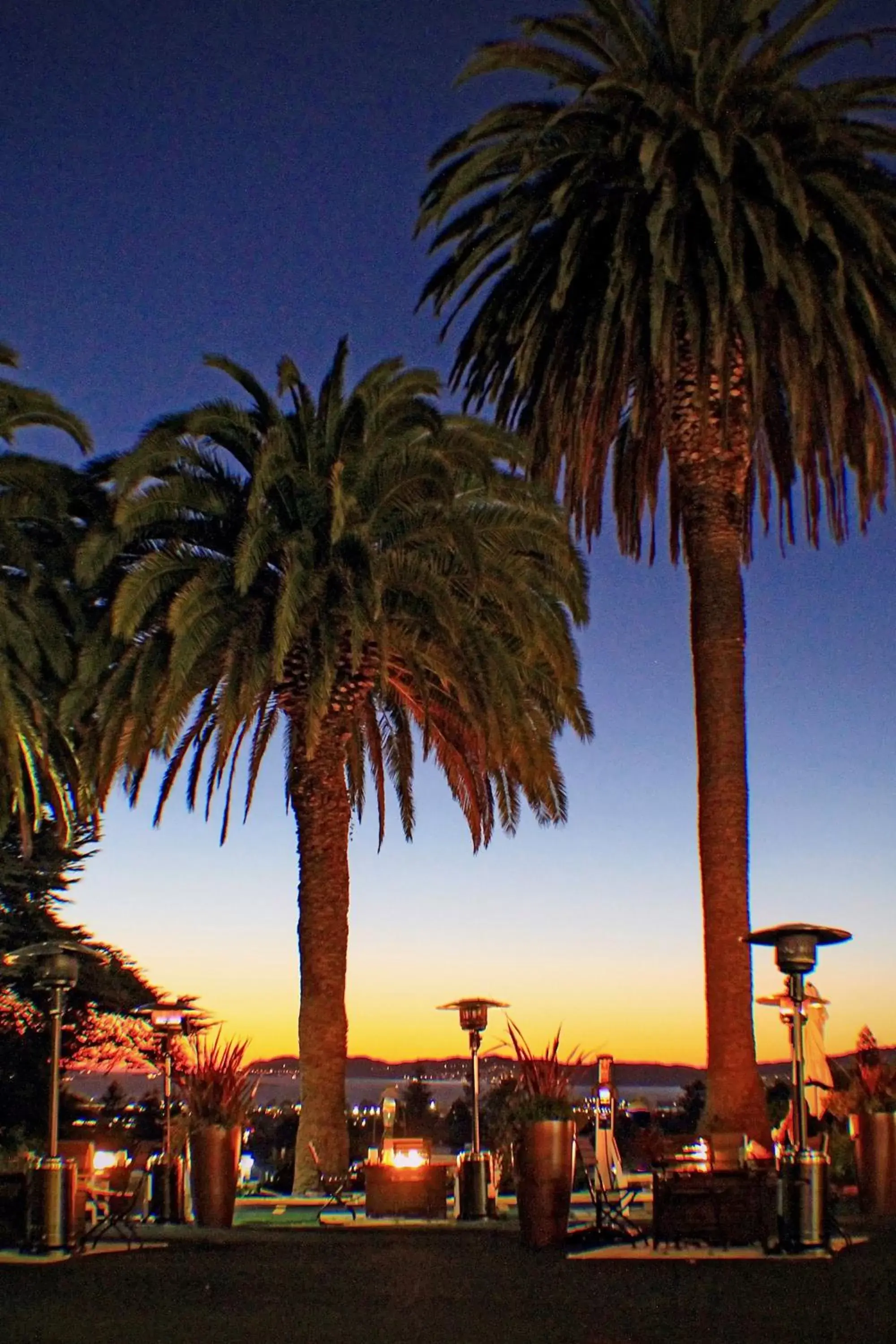 Lounge or bar in Claremont Resort & Club Lounge or bar in Claremont Resort & Club