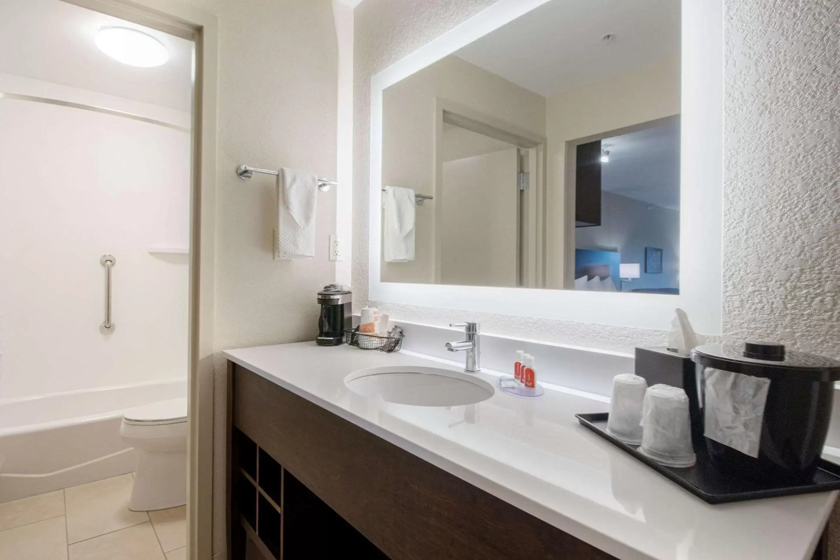 Bedroom, Bathroom in Econo Lodge Inn & Suites Foley-North Gulf Shores