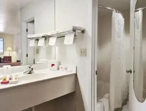 Bathroom in Ramada Limited San Angelo