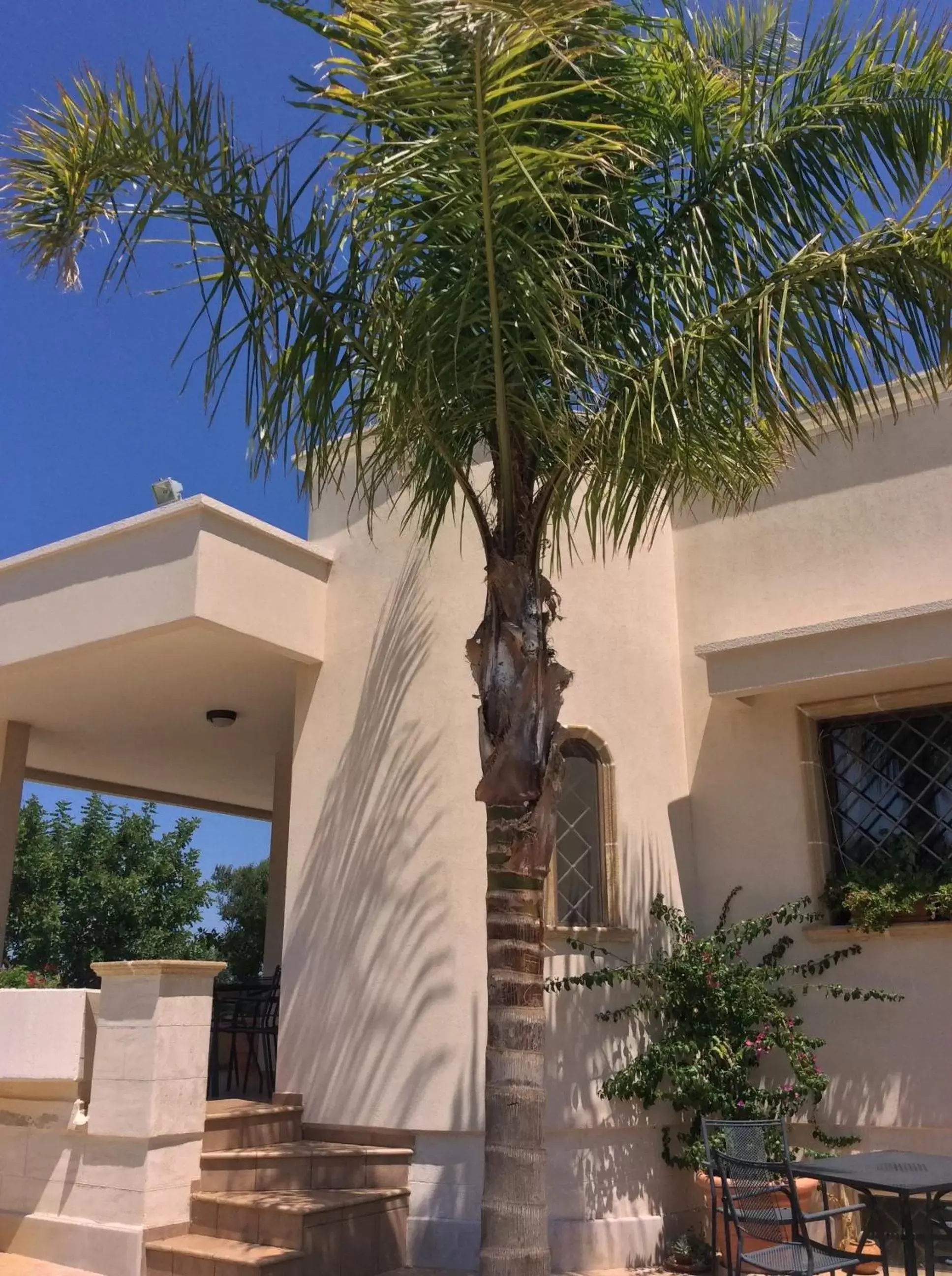 Balcony/Terrace, Property Building in Villa Narducci