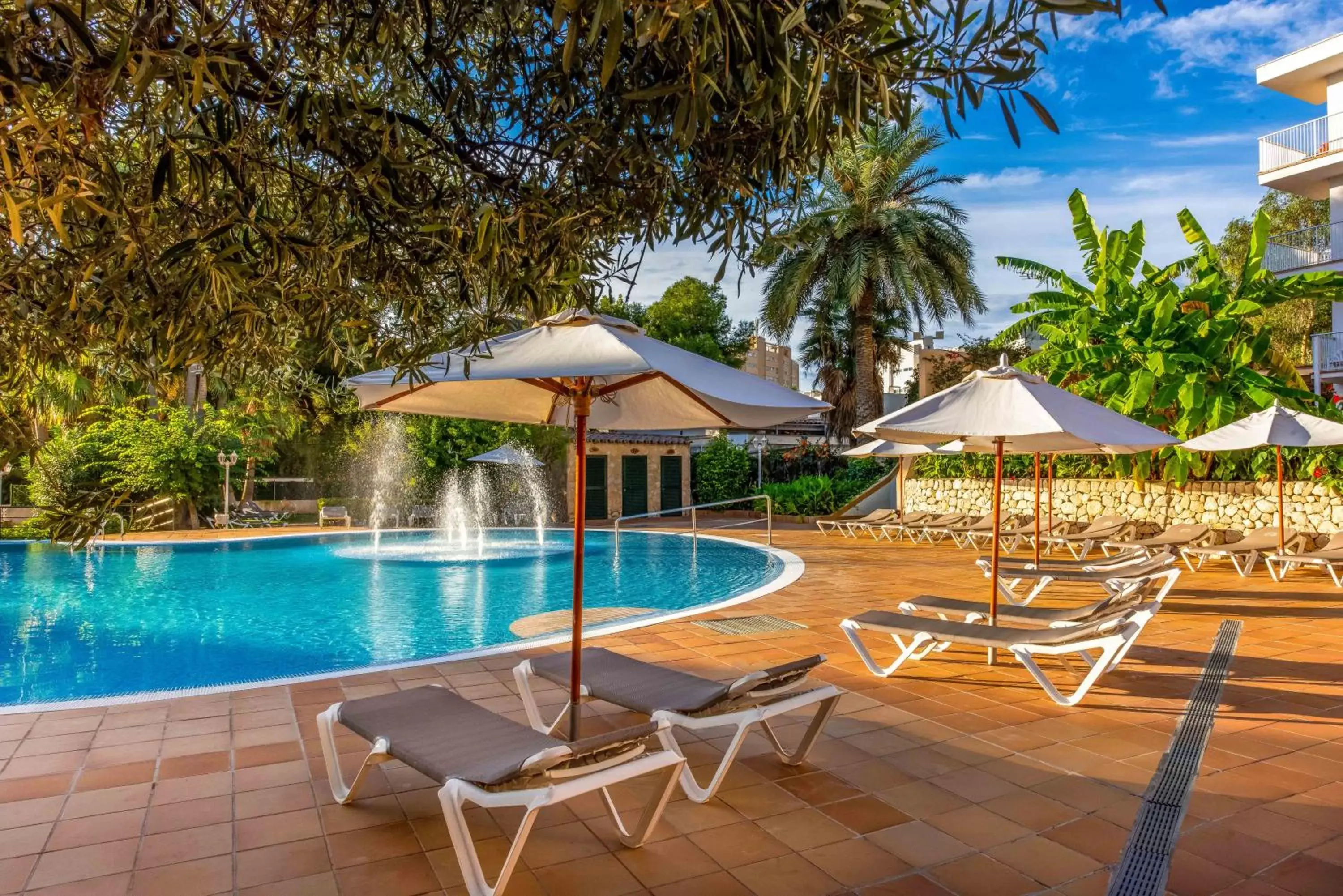 Swimming Pool in Valentin Park Club