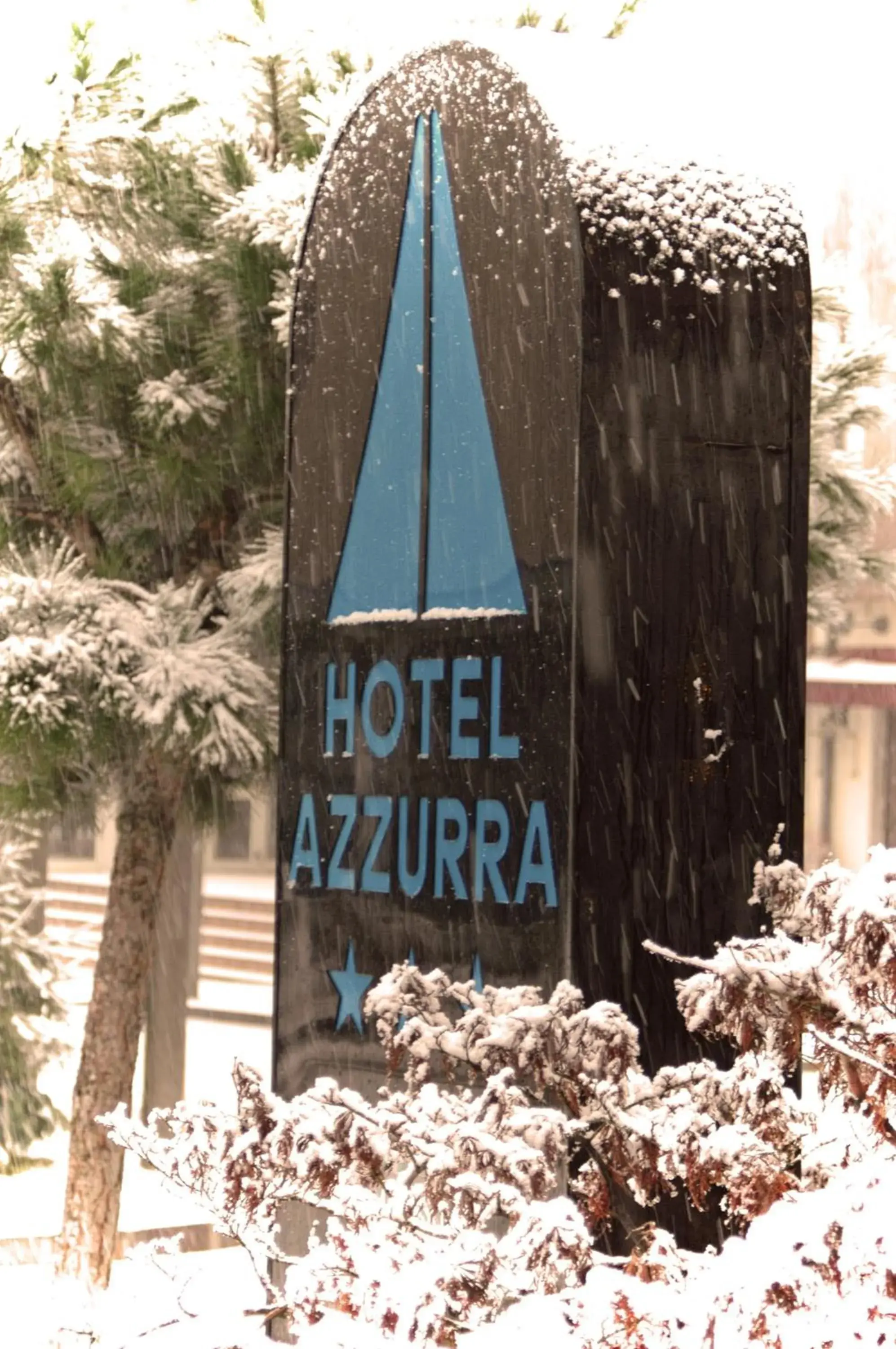 Decorative detail, Winter in Hotel Azzurra