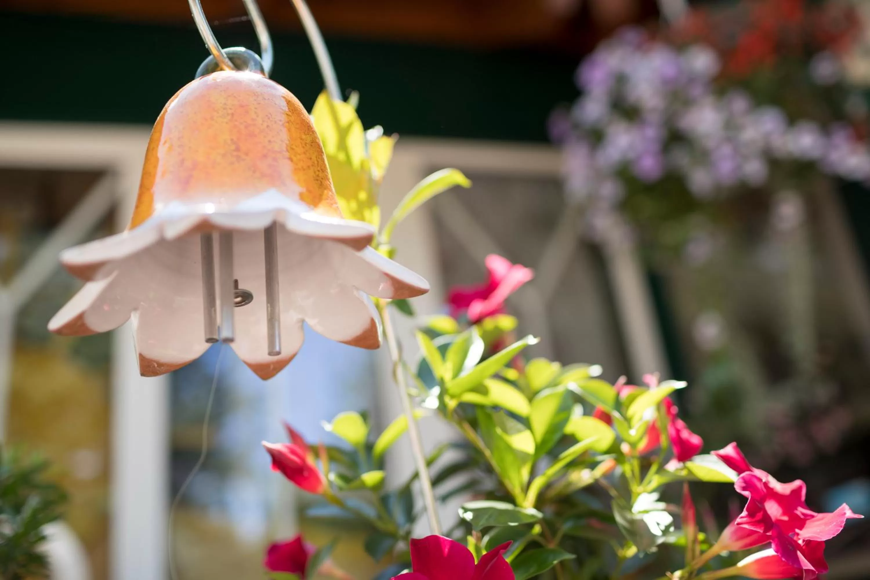 Garden in Thermenhof PuchasPLUS Loipersdorf