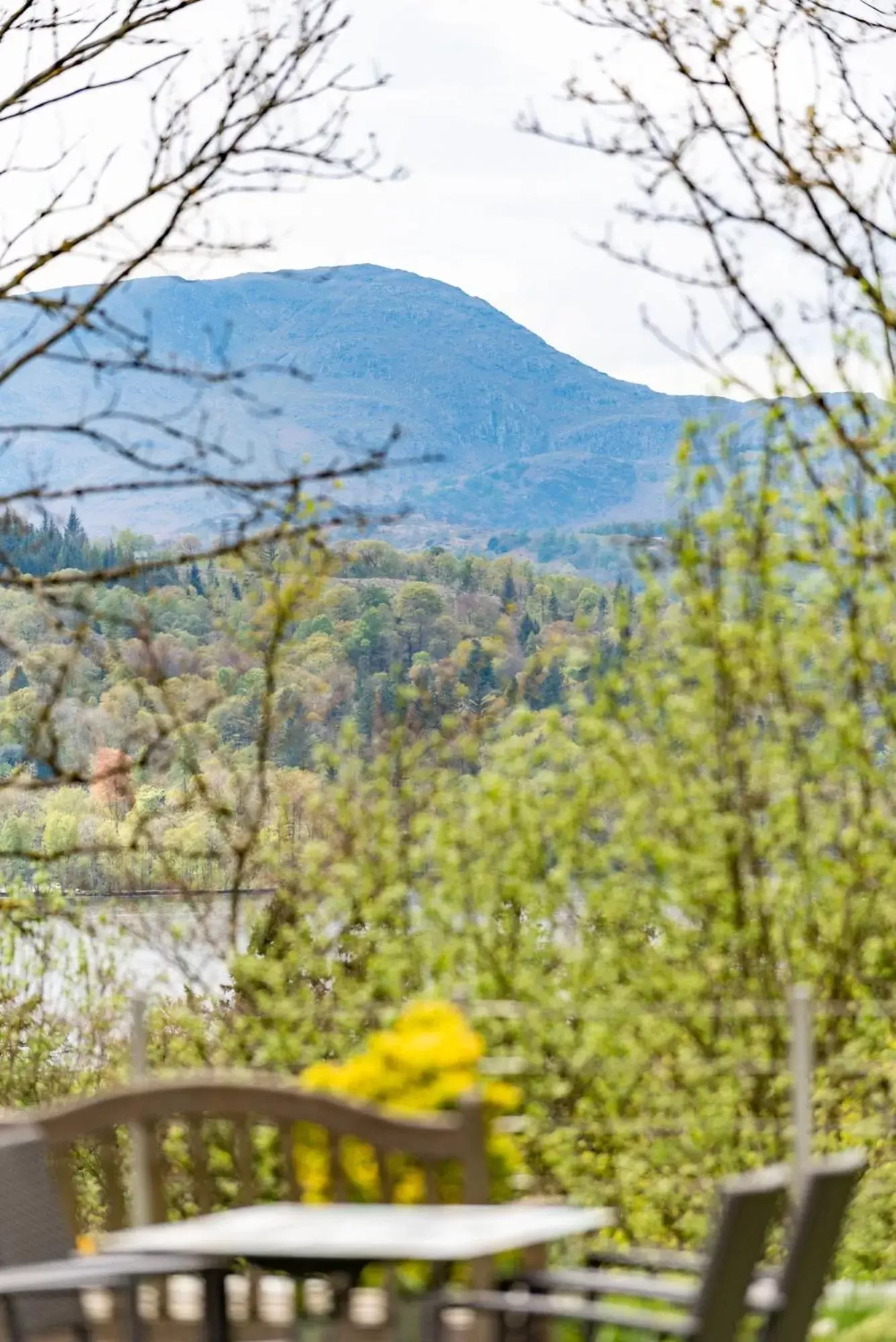 View (from property/room), Mountain View in Windermere Manor Hotel