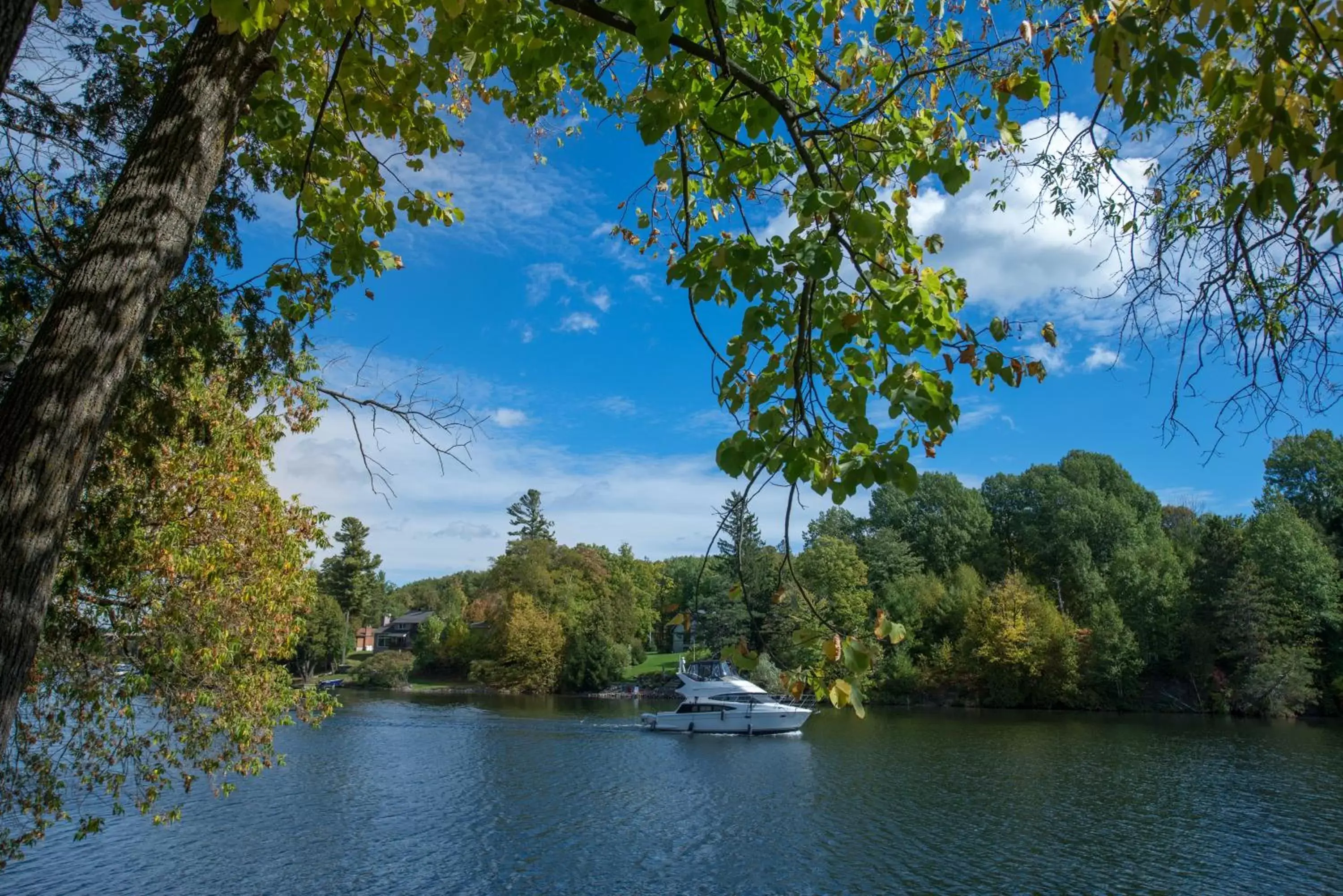 Natural landscape in Ramada by Wyndham Ottawa On The Rideau