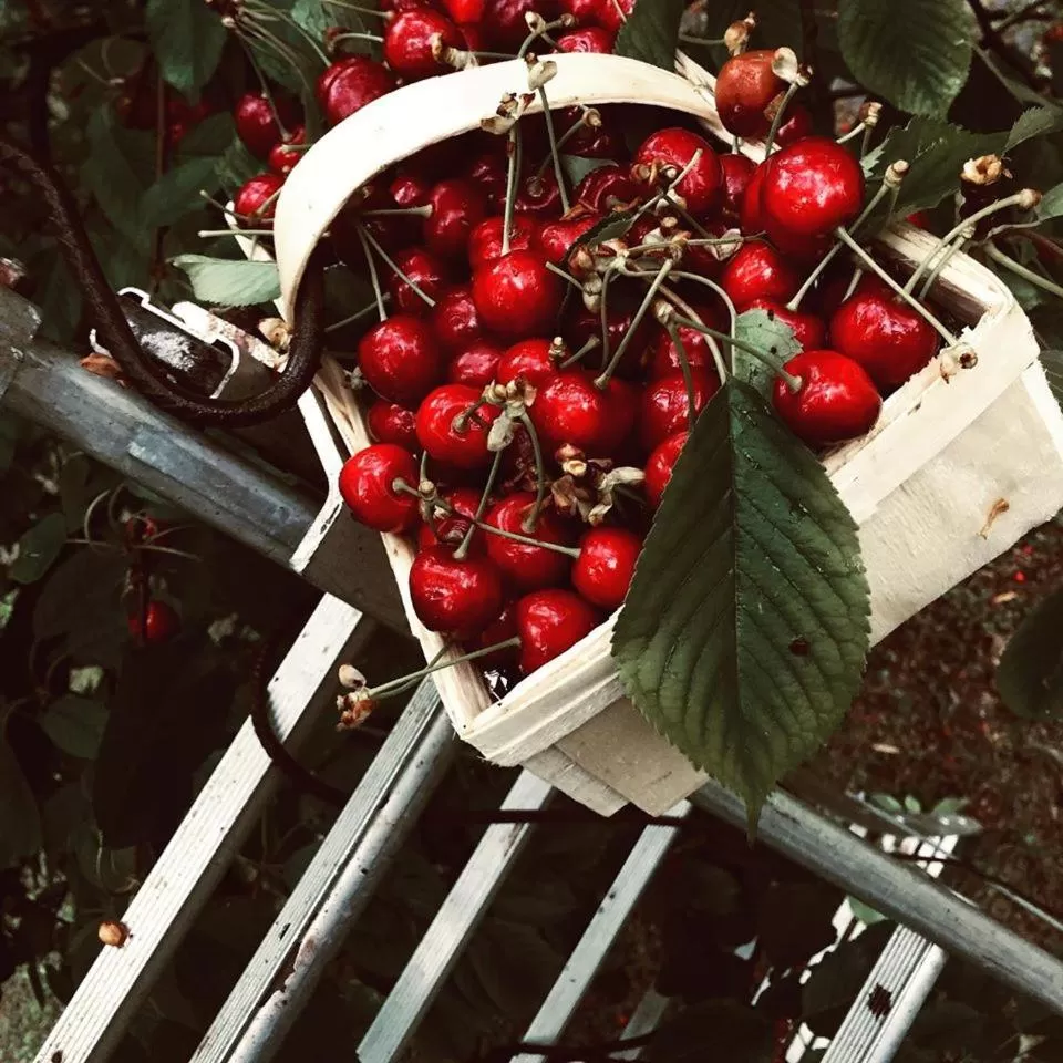 Breakfast in Cà Rossa #panoramic suite