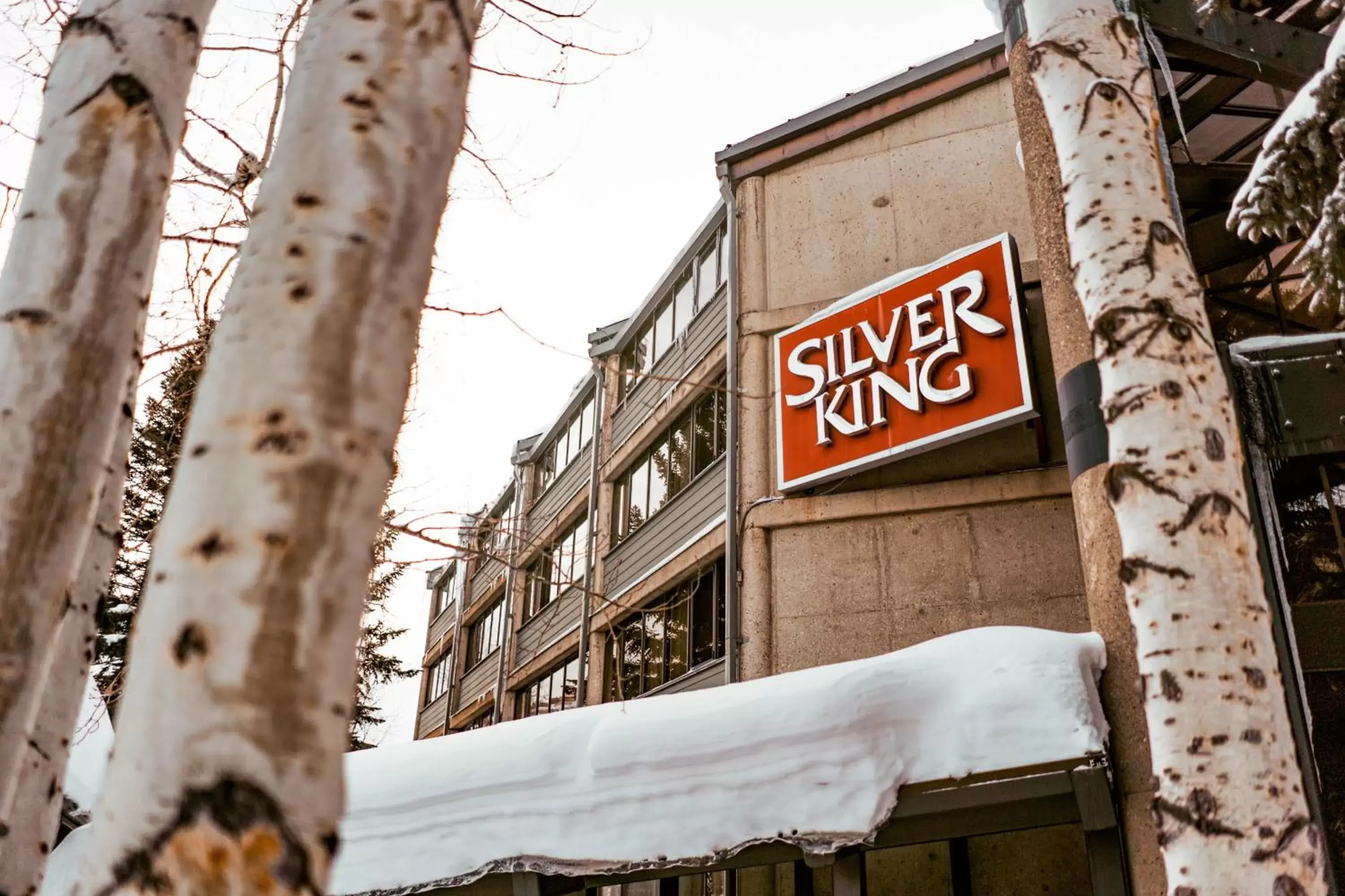 Property building, Winter in Silver King