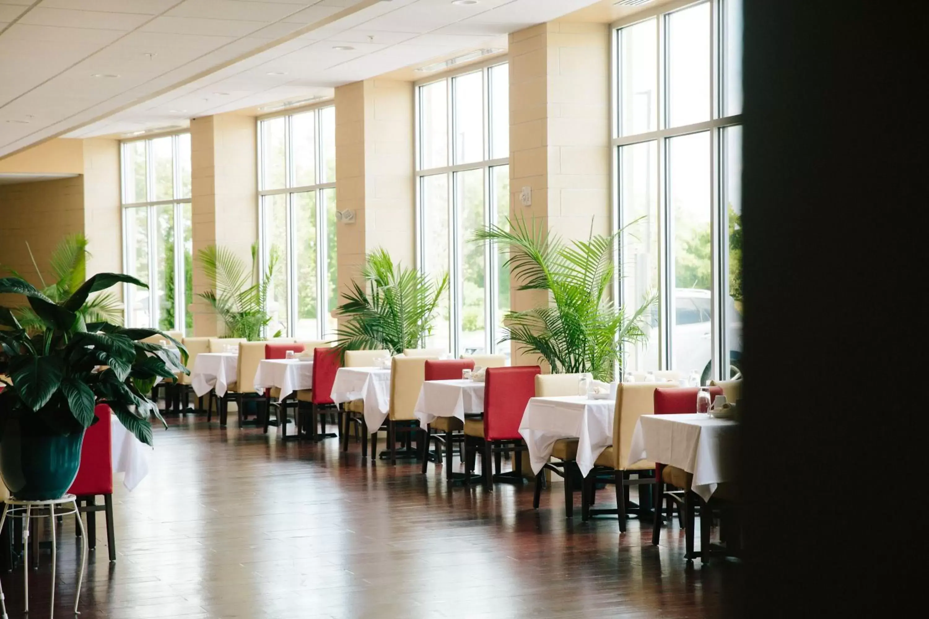 Restaurant/Places to Eat in Holiday Inn Murfreesboro/Nashville, an IHG Hotel
