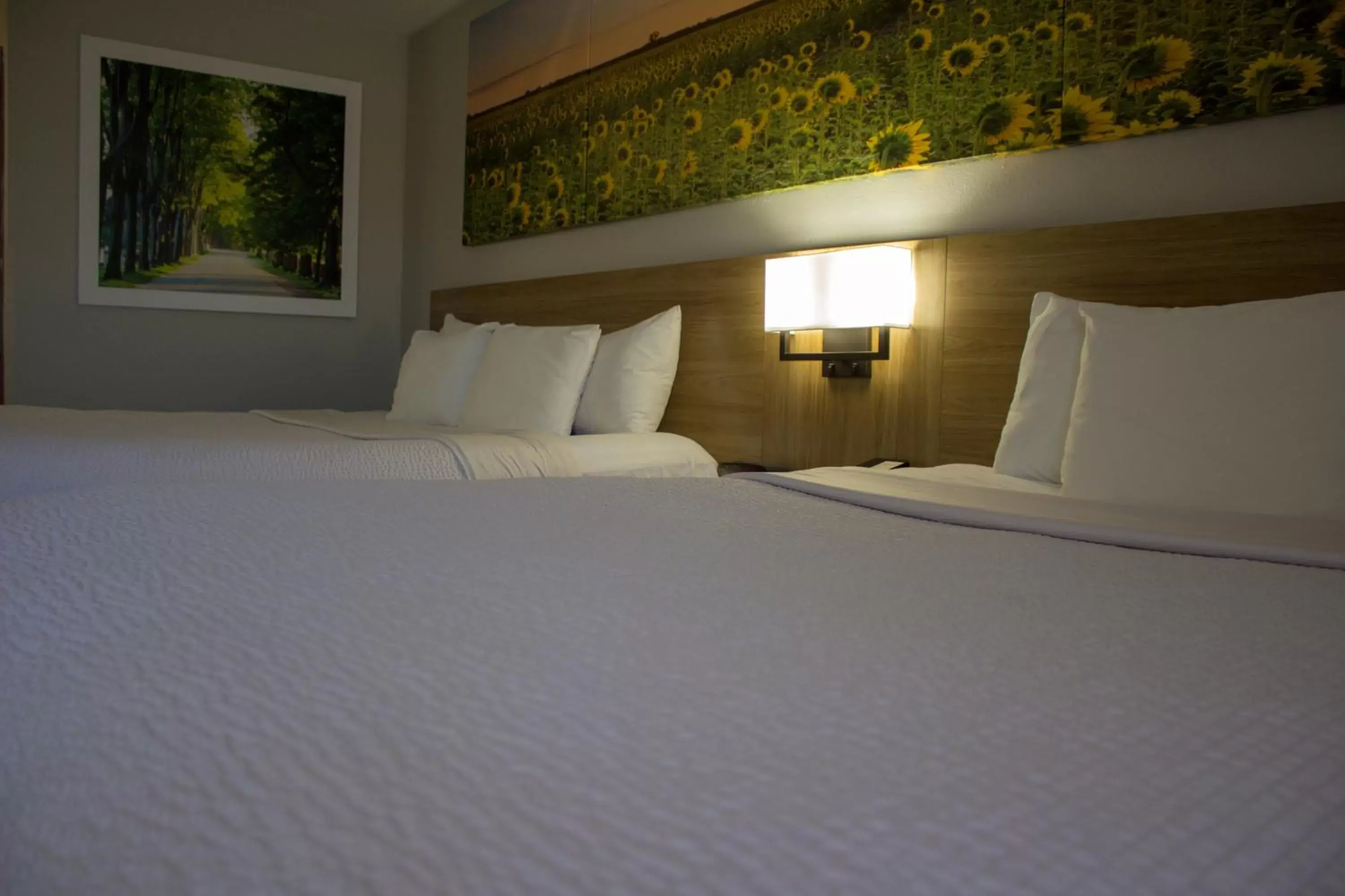 Bed in Days Inn by Wyndham Colby