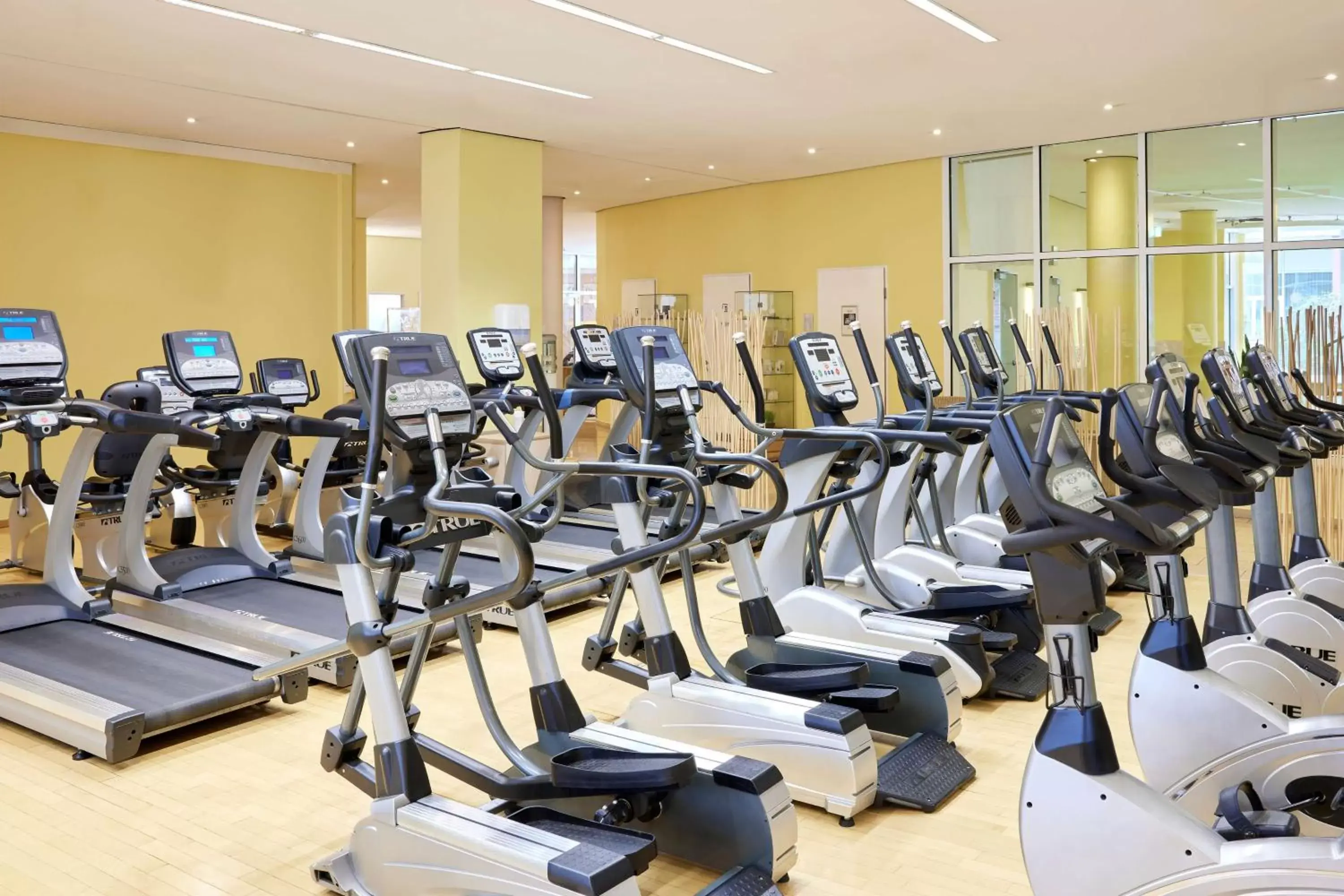 Fitness centre/facilities, Fitness Center/Facilities in Lindner Hotel Cologne Am Dom, part of JdV by Hyatt
