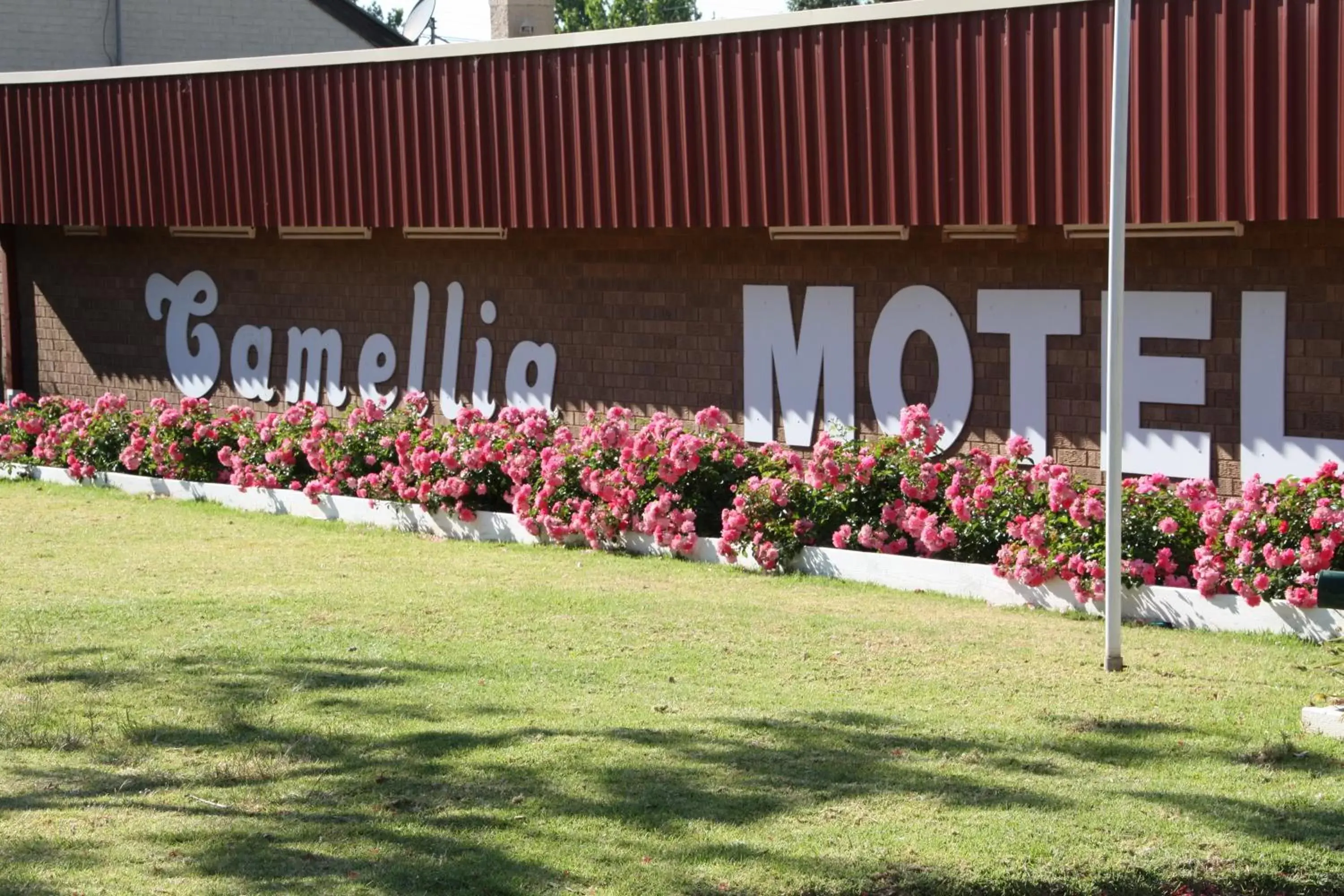 Garden in Camellia Motel