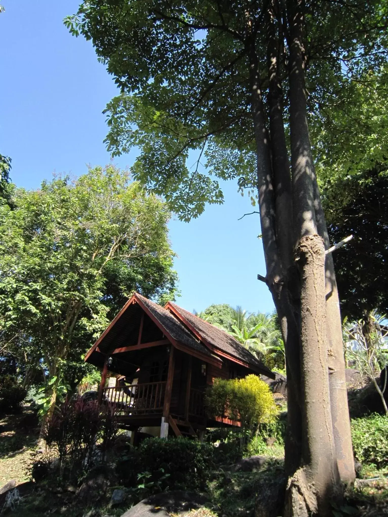 Property Building in Phanom Bencha Mountain Resort