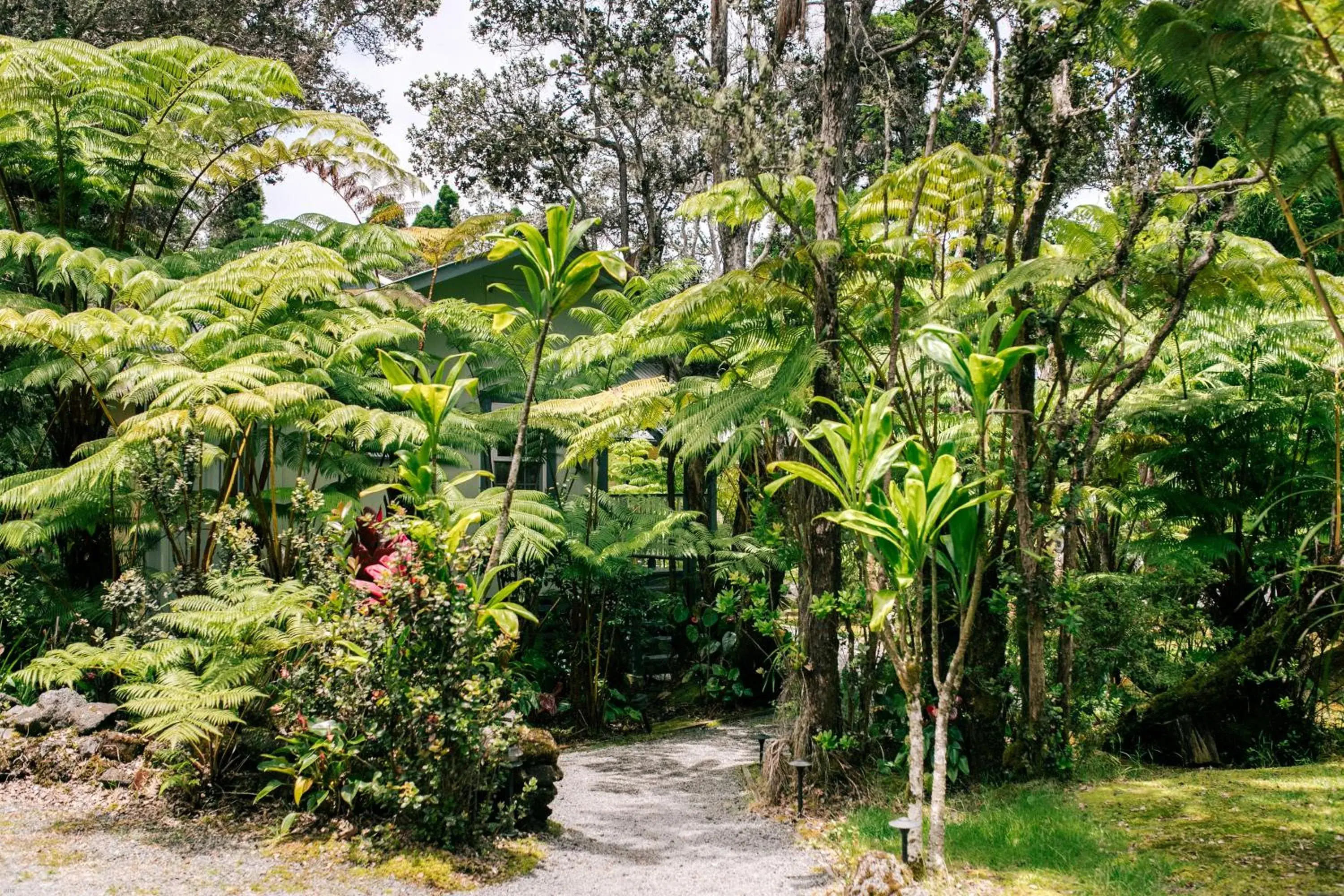 Natural landscape, Garden in Kilauea Lodge and Restaurant