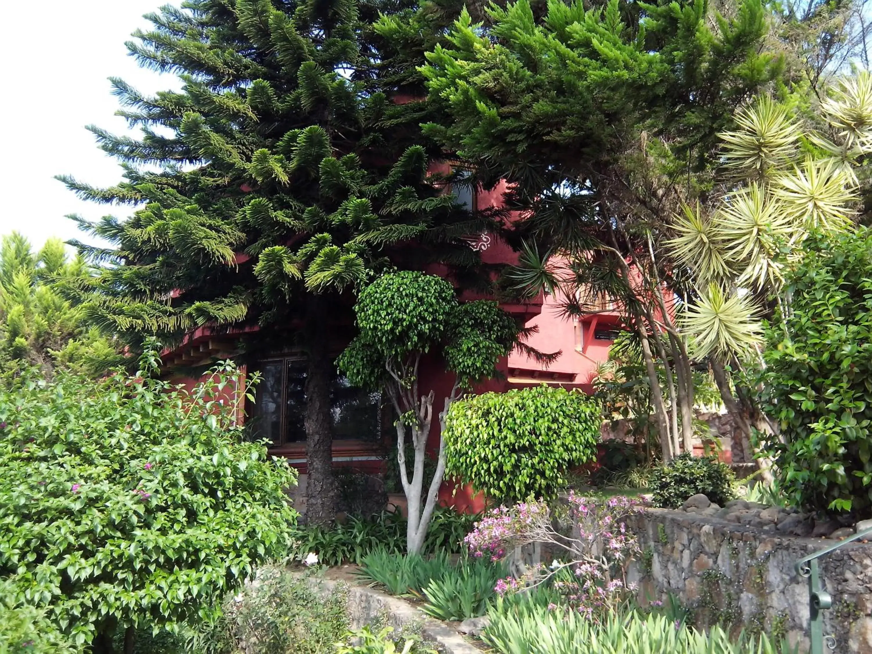 Garden in Villa San Jose Hotel & Suites