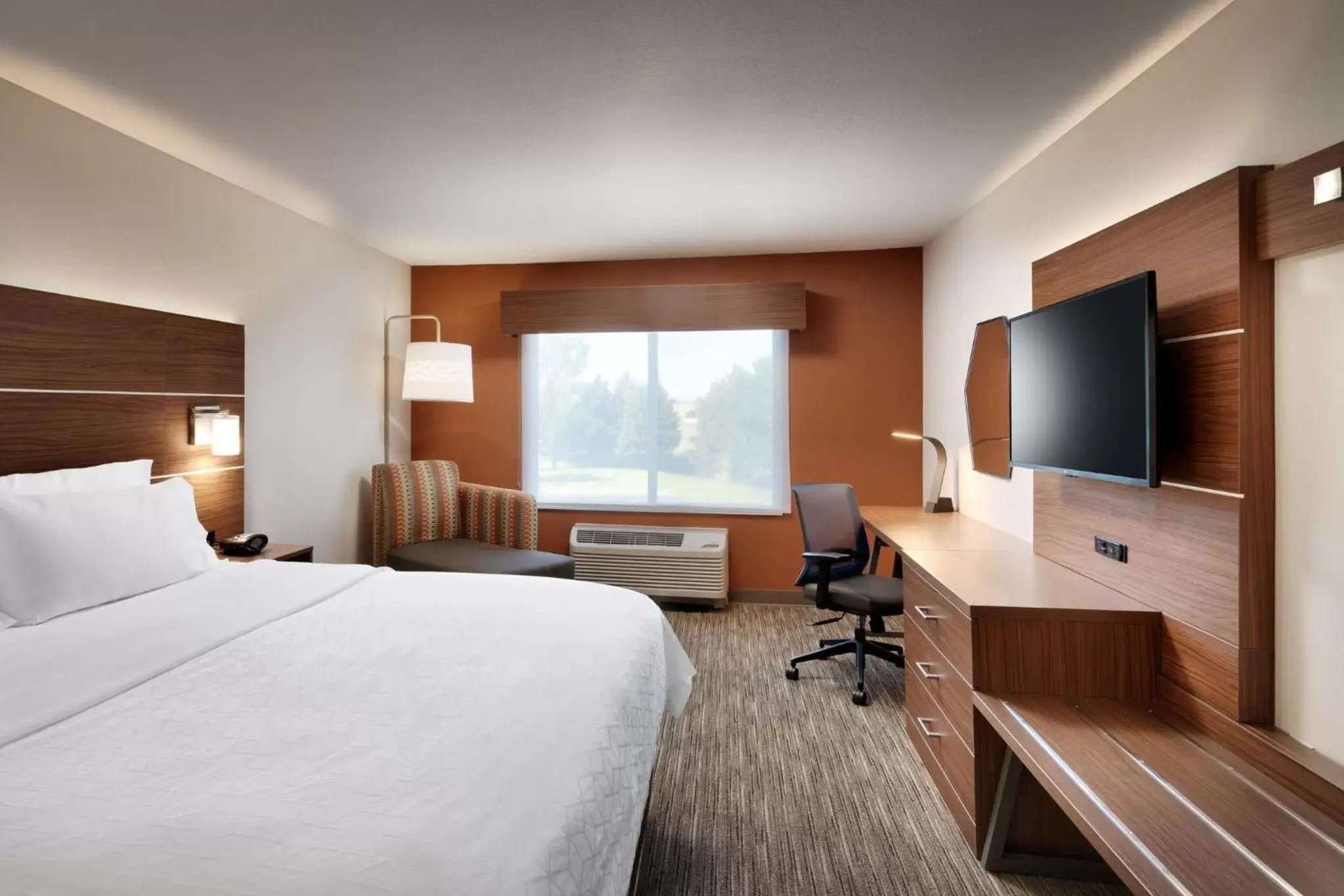 Photo of the whole room in Holiday Inn Express Billings East, an IHG Hotel