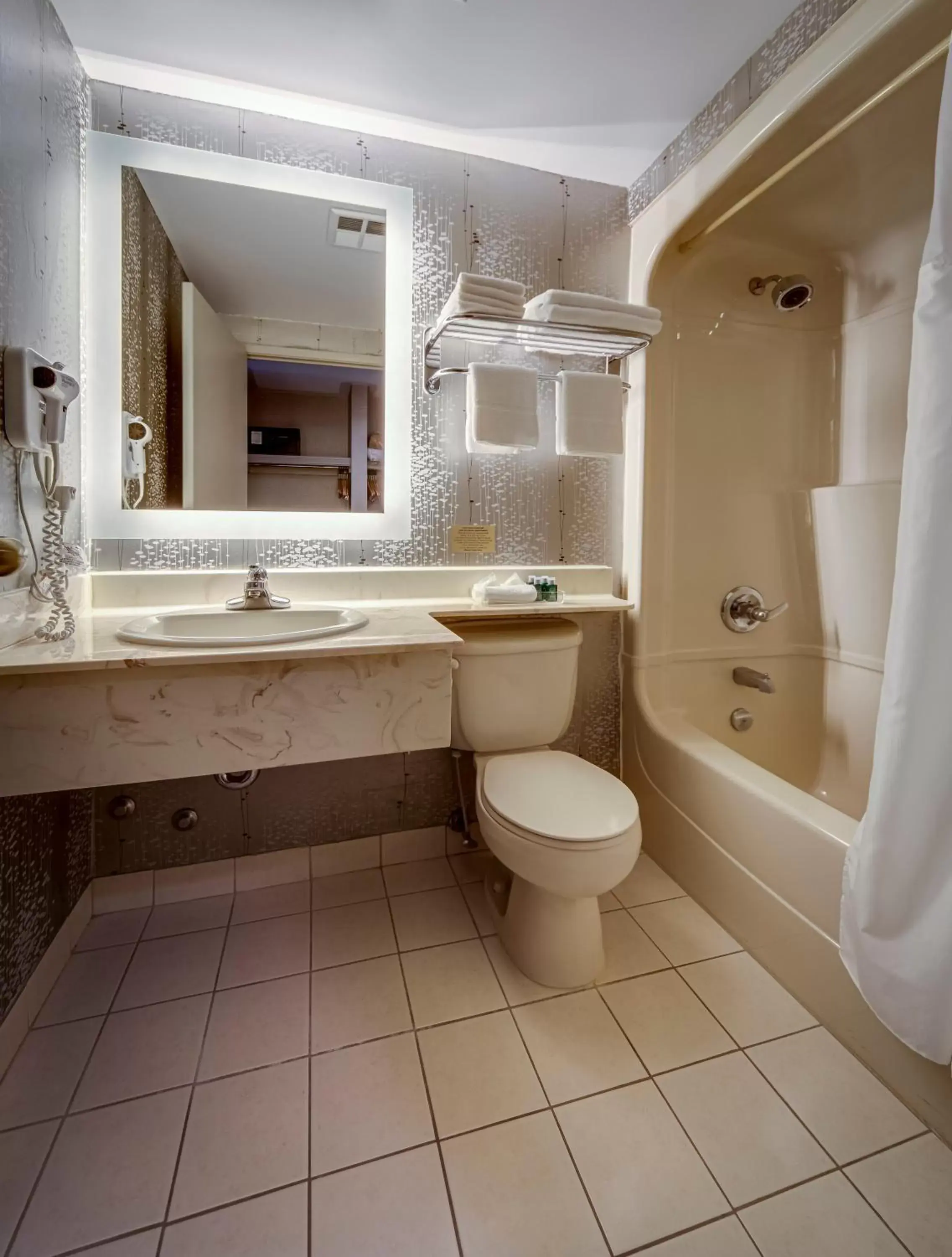 Toilet, Bathroom in Monte Carlo Inn Markham