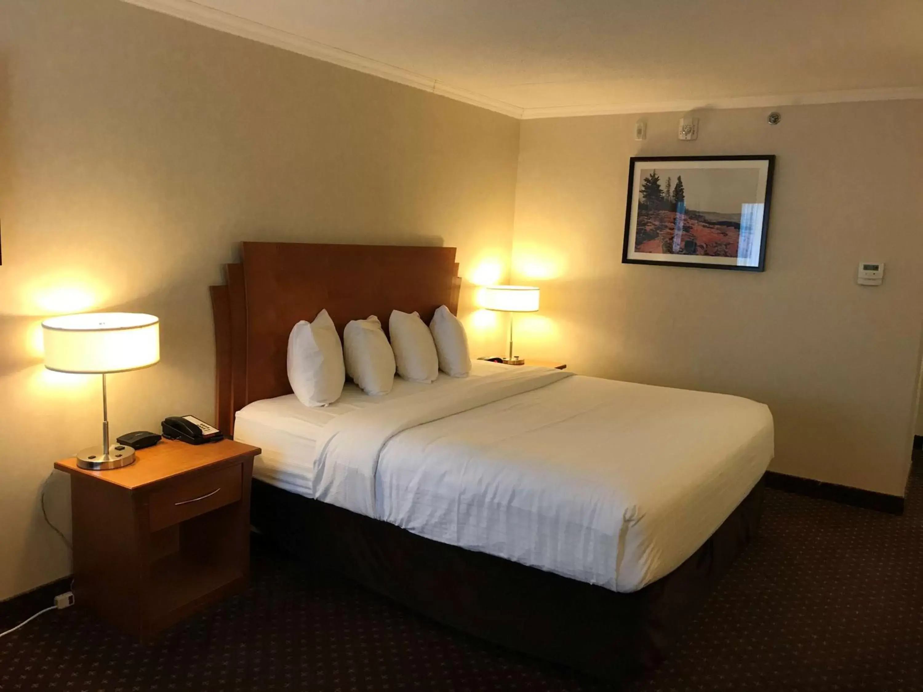 Photo of the whole room, Bed in Best Western Thunder Bay Crossroads