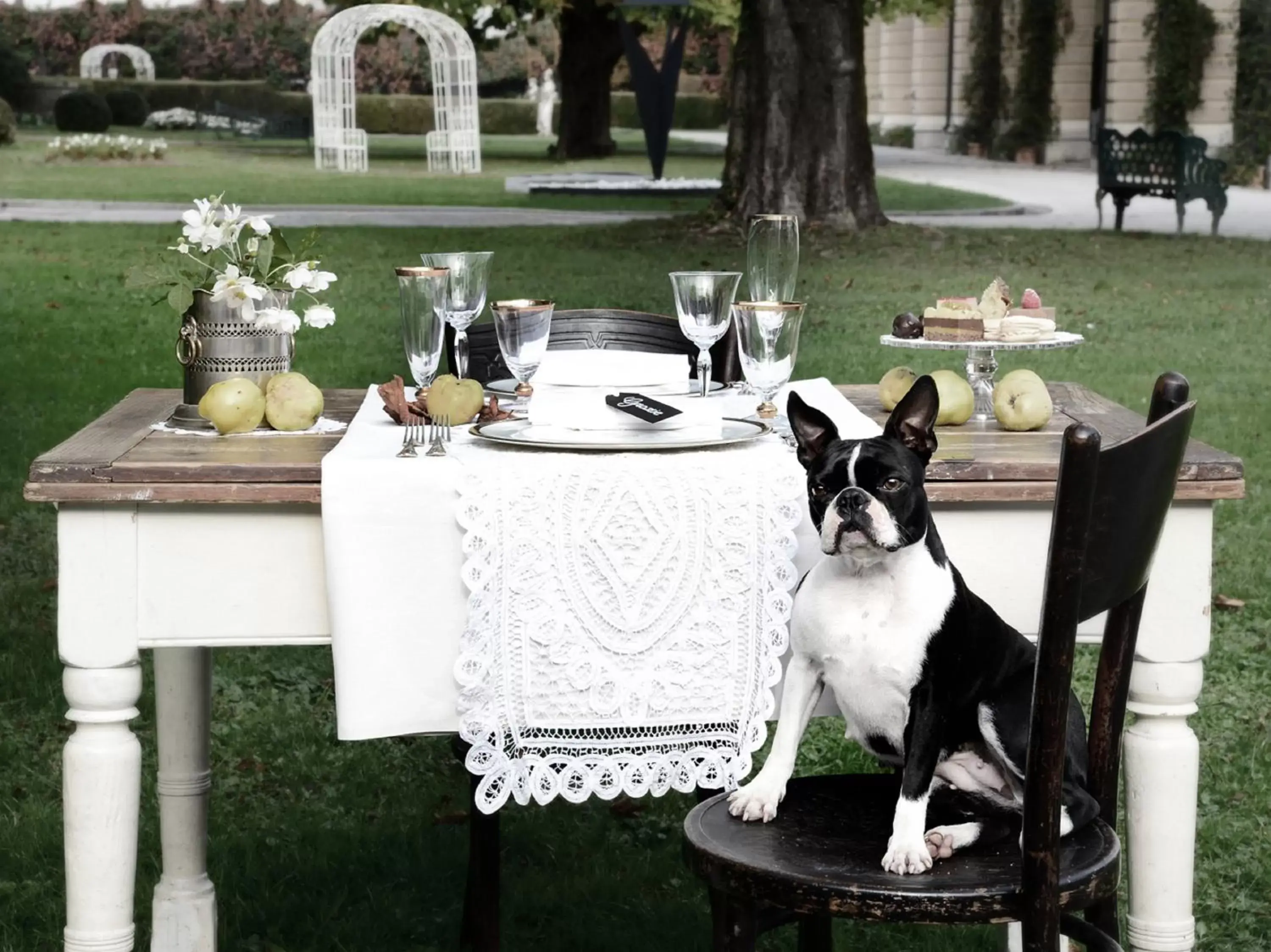 Garden, Pets in Villa Foscarini Cornaro