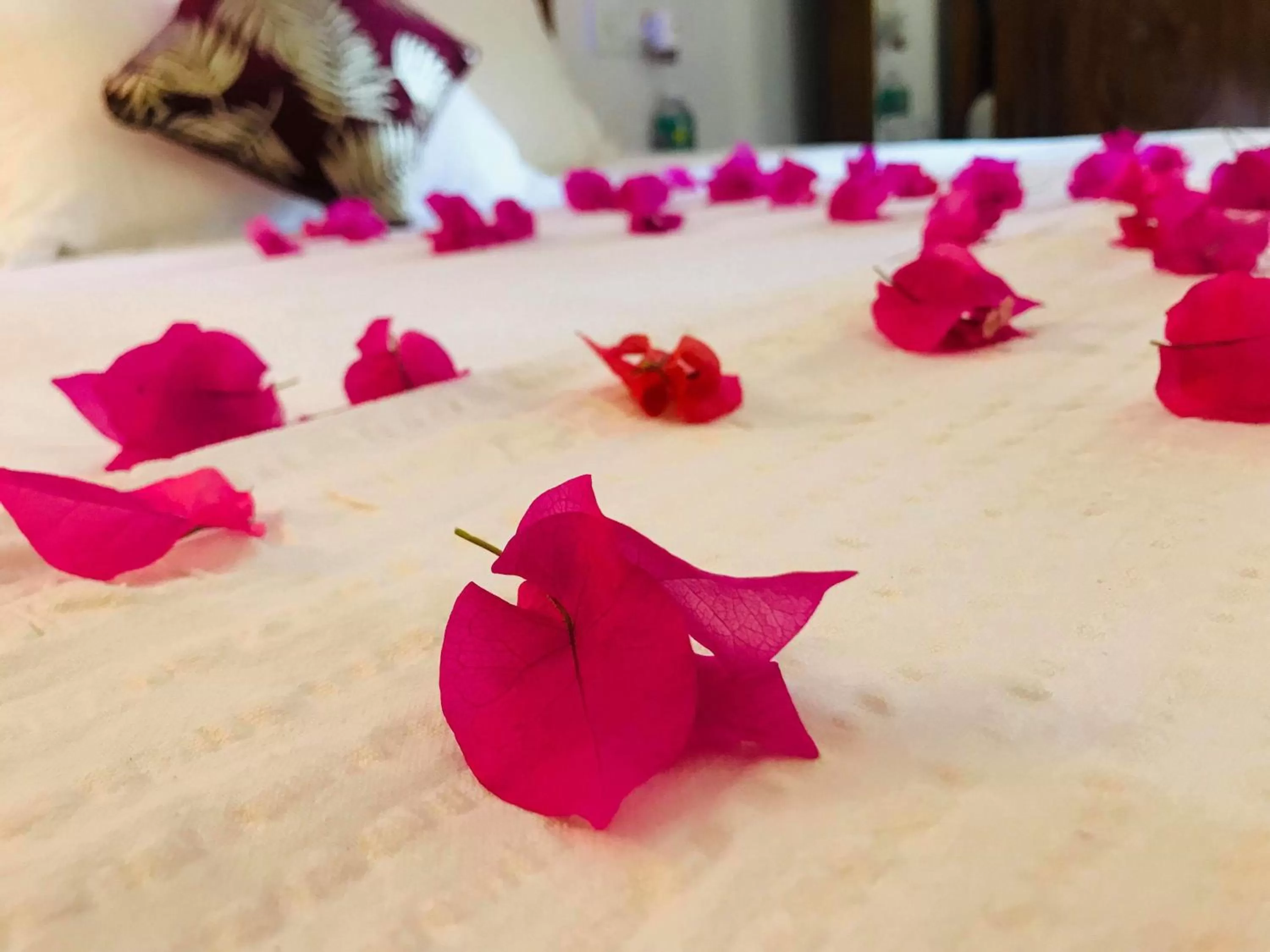 Bed in LaligurasVilla Beachside Escape - 100m to Beach