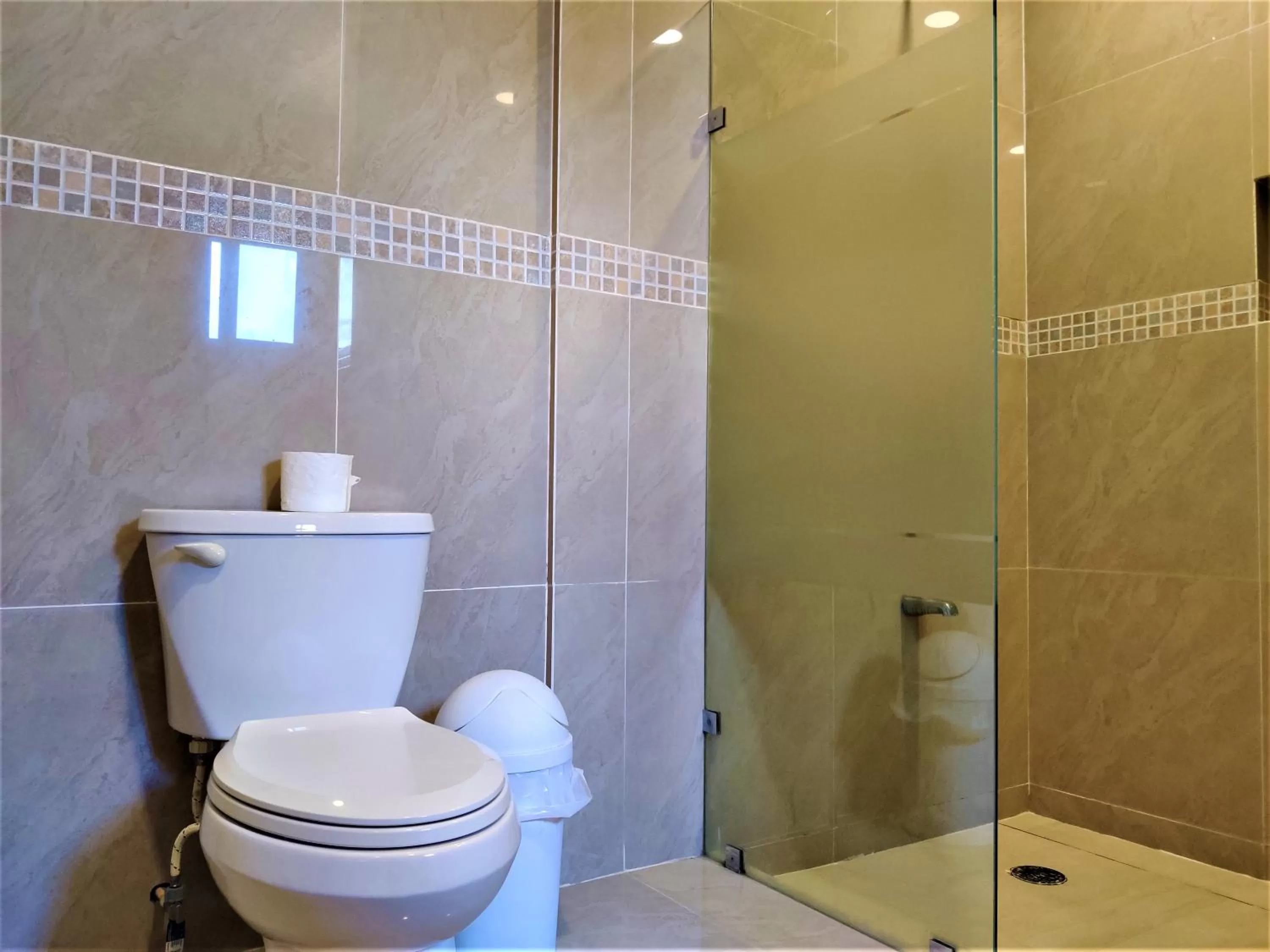 Toilet in Maison del Embajador