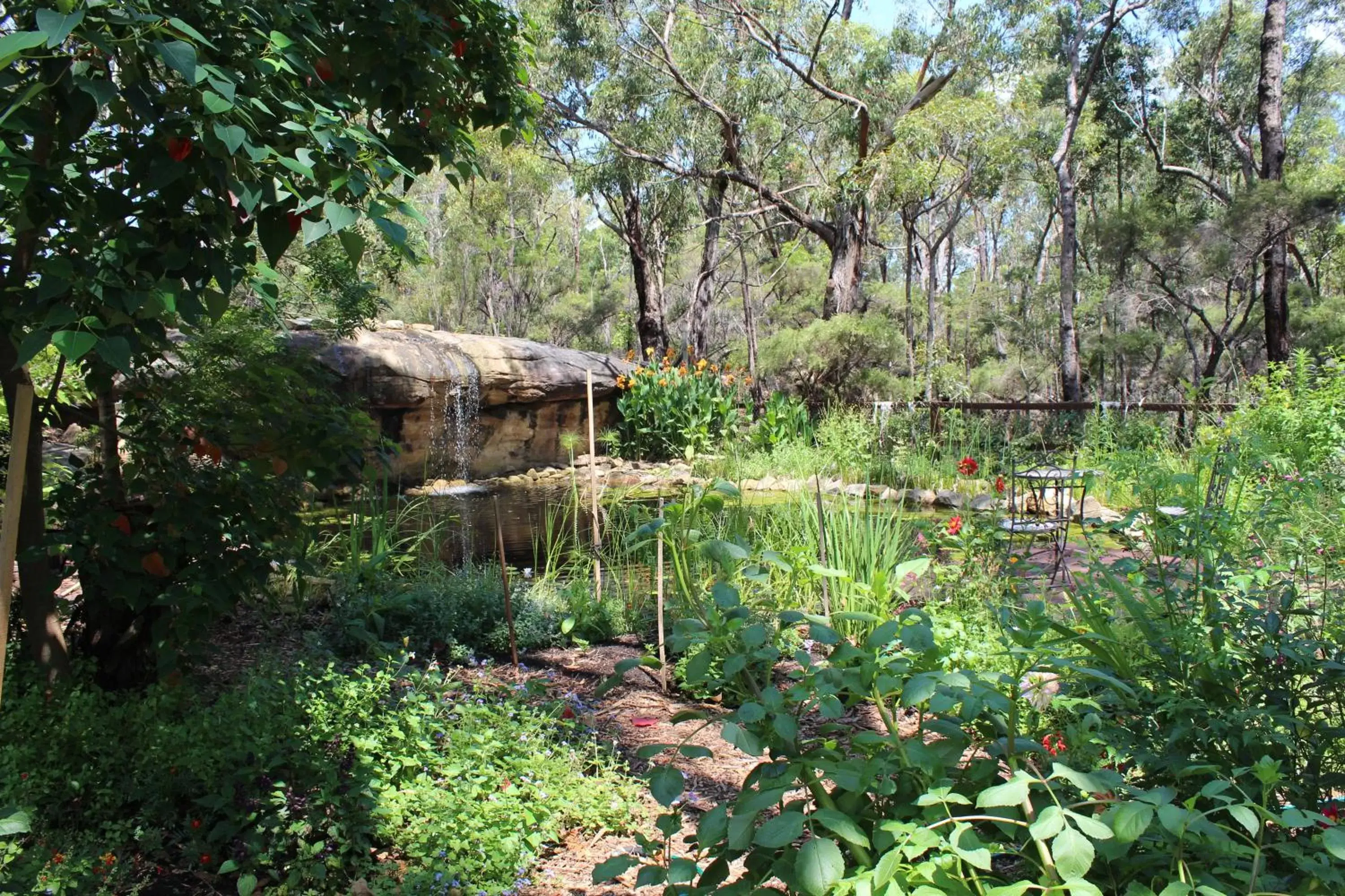 Garden, Natural Landscape in Storey Grange