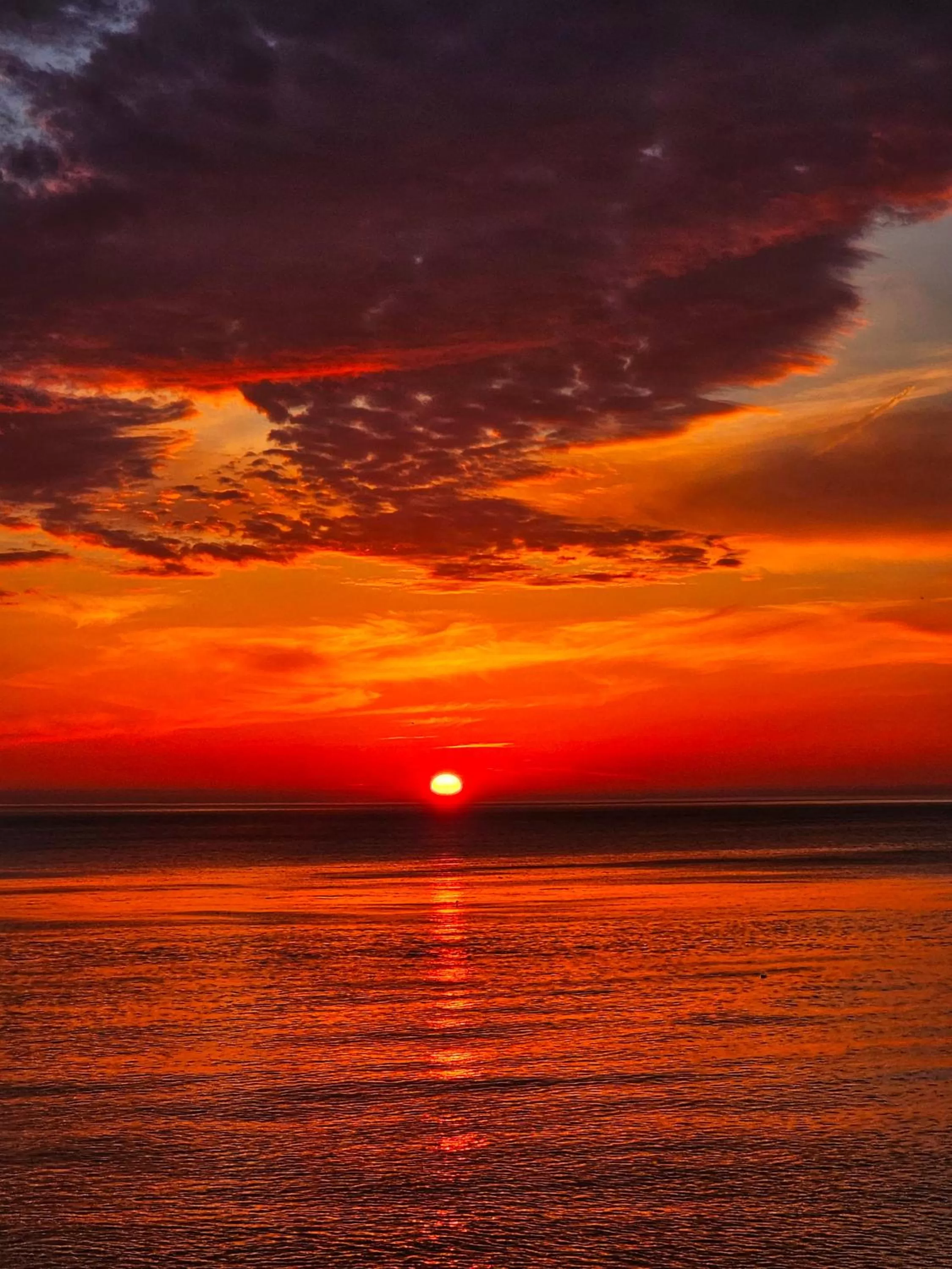 View (from property/room) in Batumi Palm Hotel