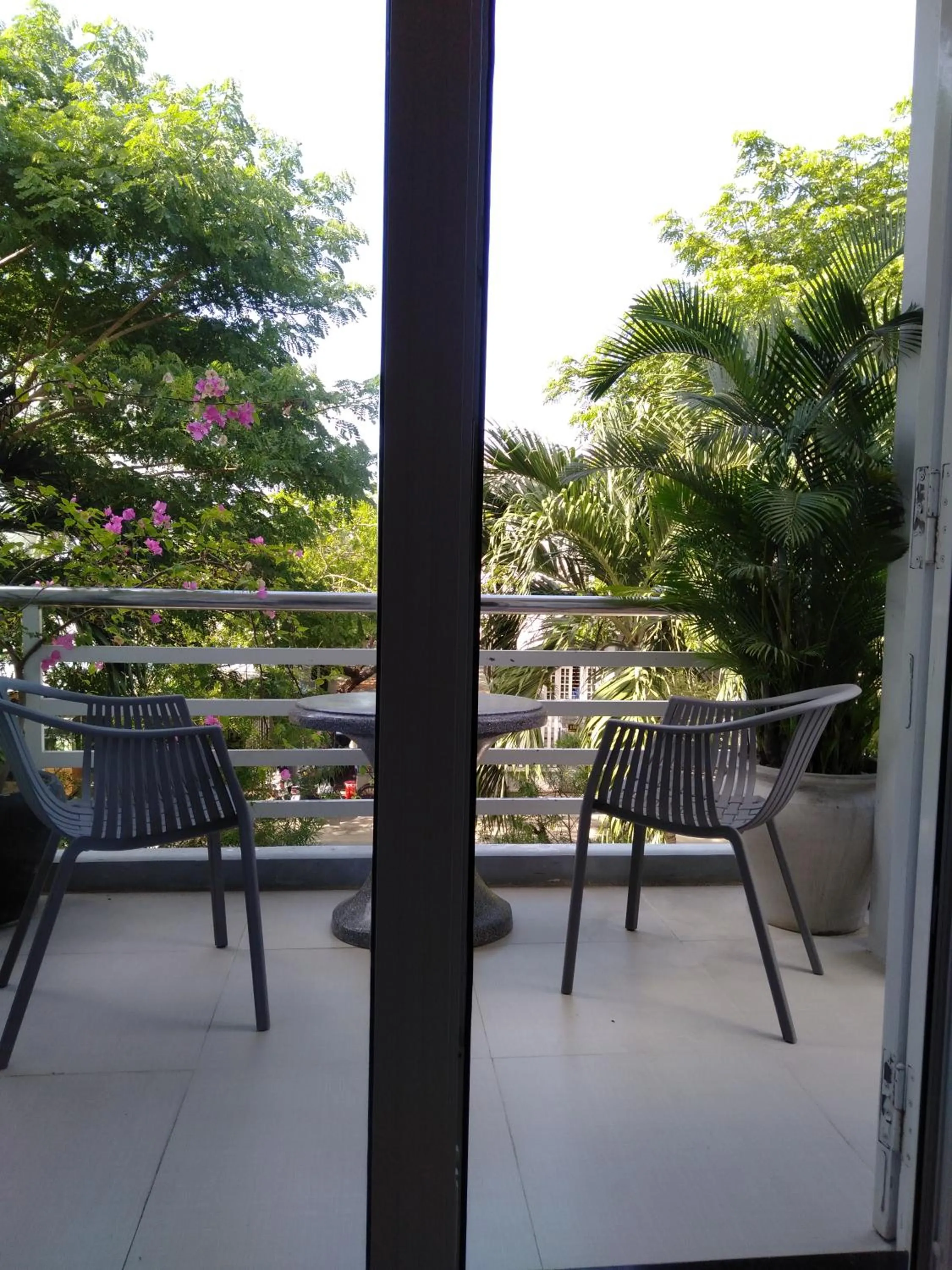 Natural landscape in The Moon Villa Hoi An