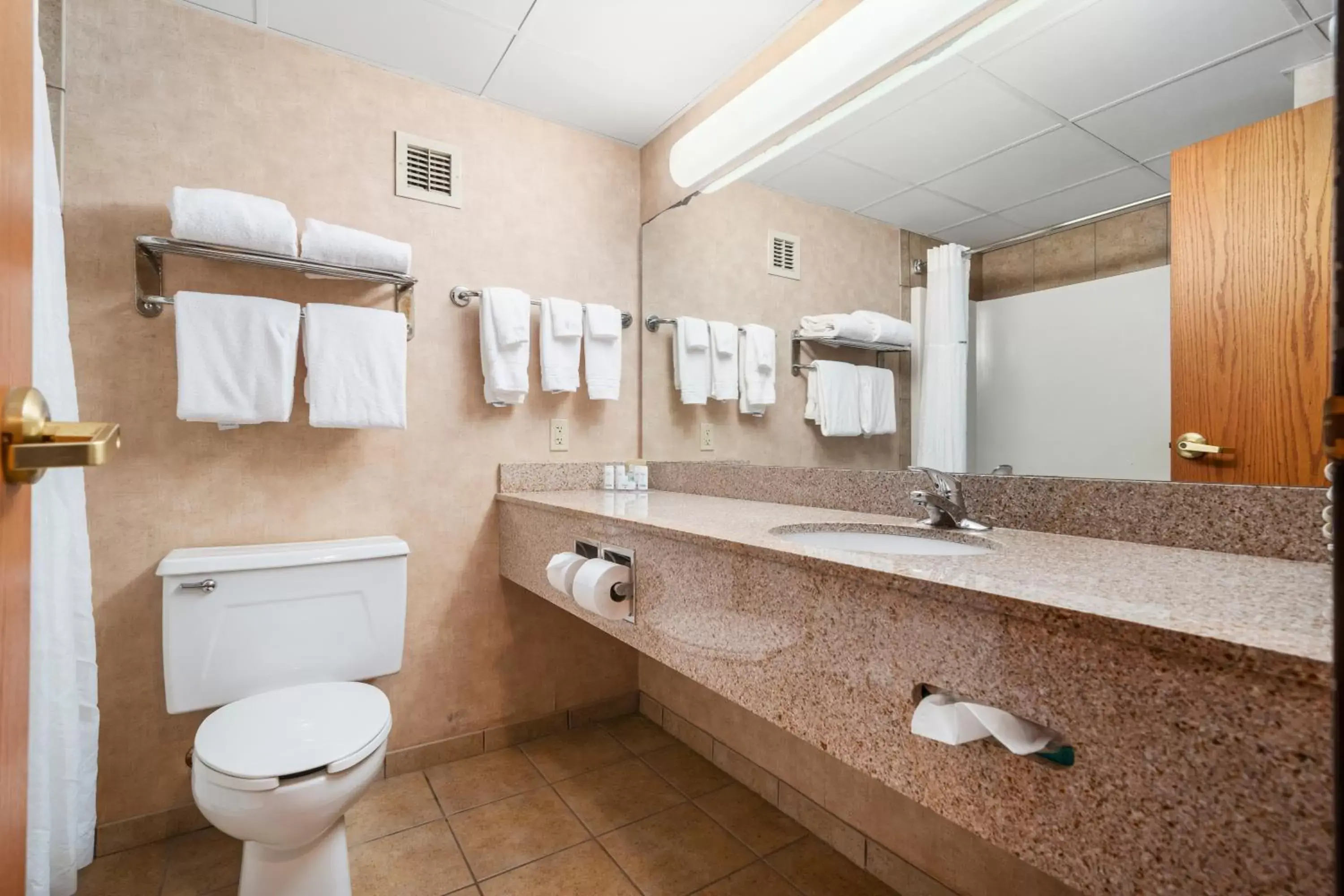 Bathroom in Ramada by Wyndham Sioux Falls Airport - Waterpark Resort & Event Center