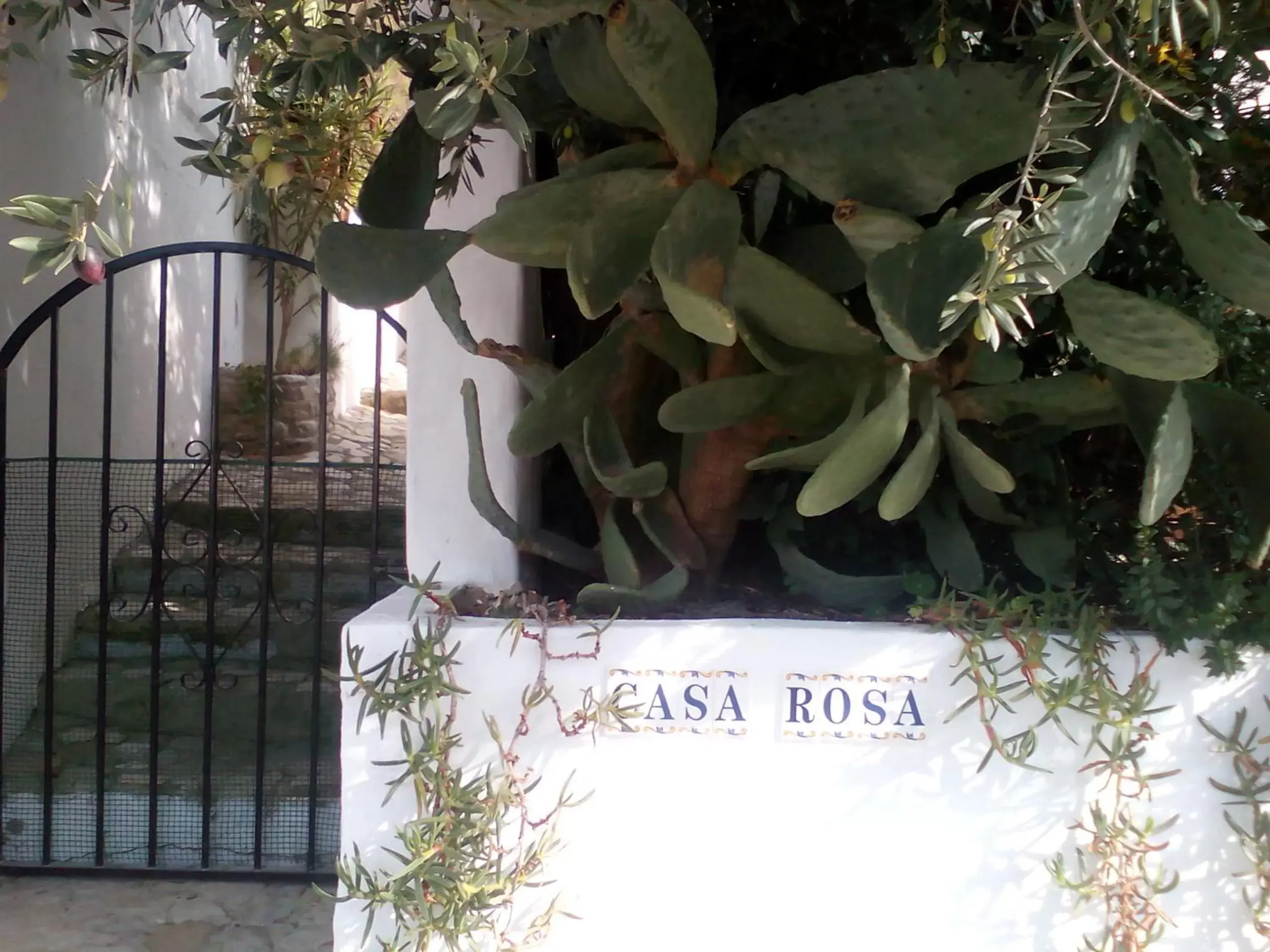 Garden, Property Logo/Sign in Casa La Rosa