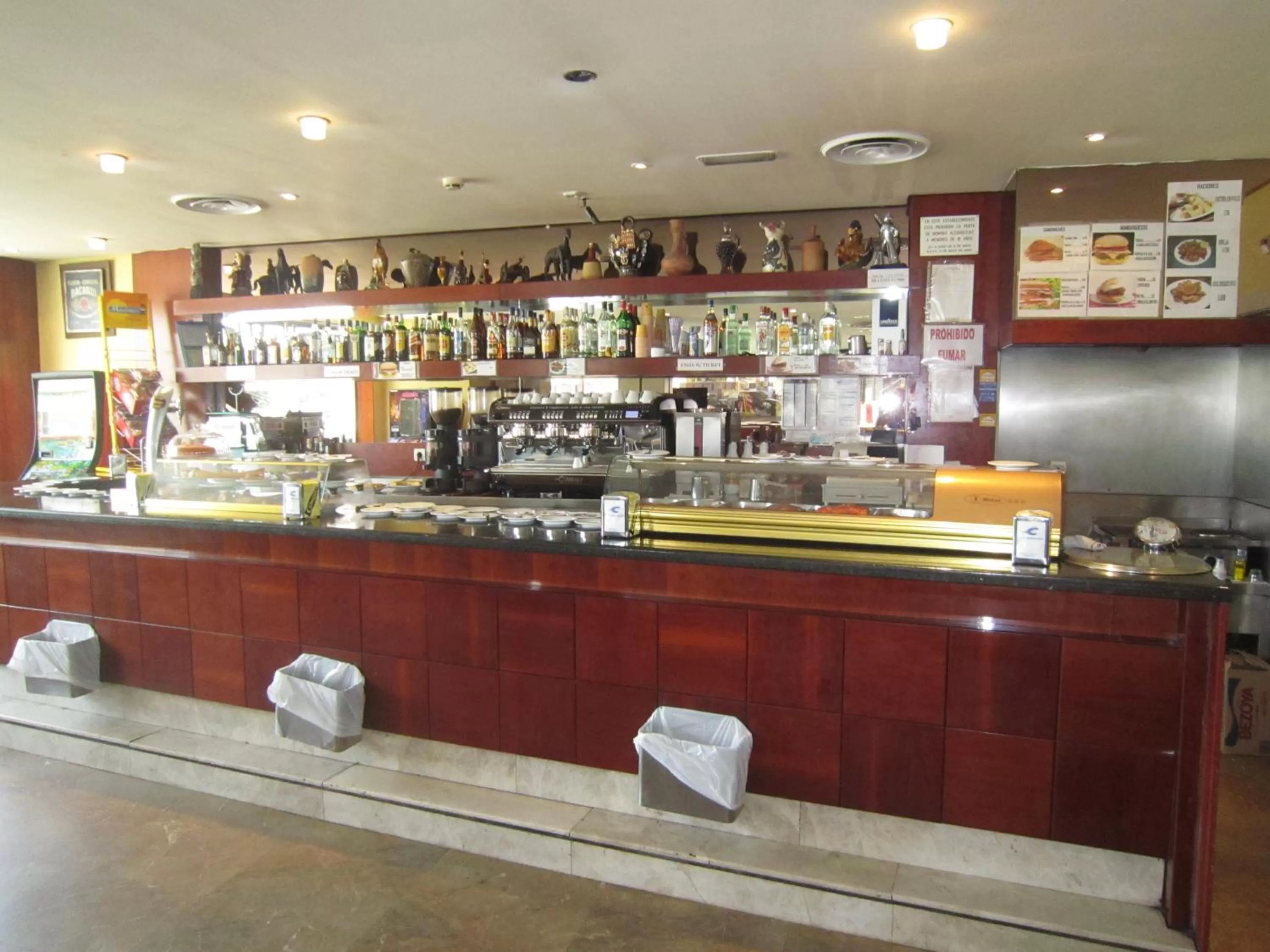 Restaurant/places to eat, Lounge/Bar in Hotel Concordy