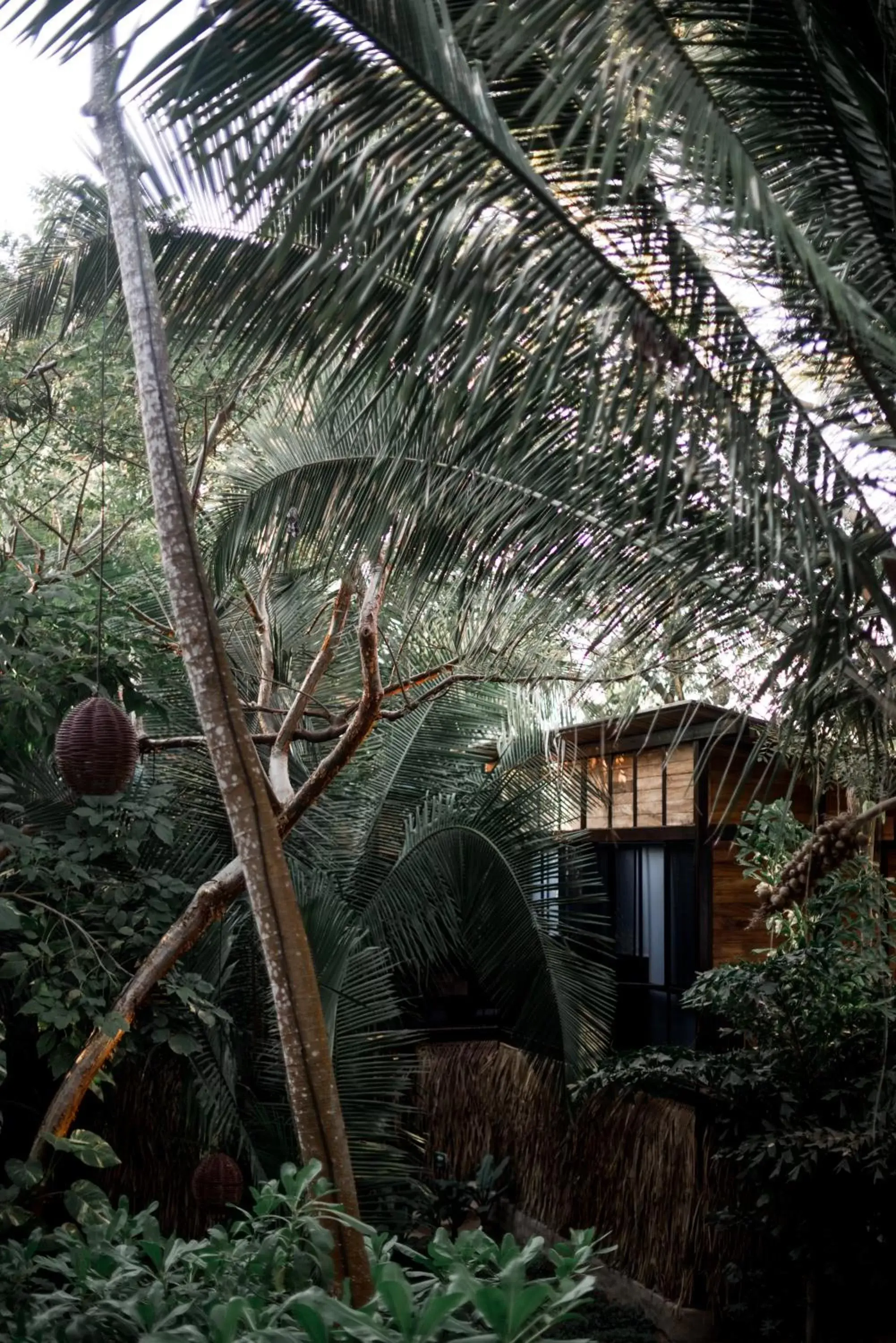 Casa Selva Sayulita