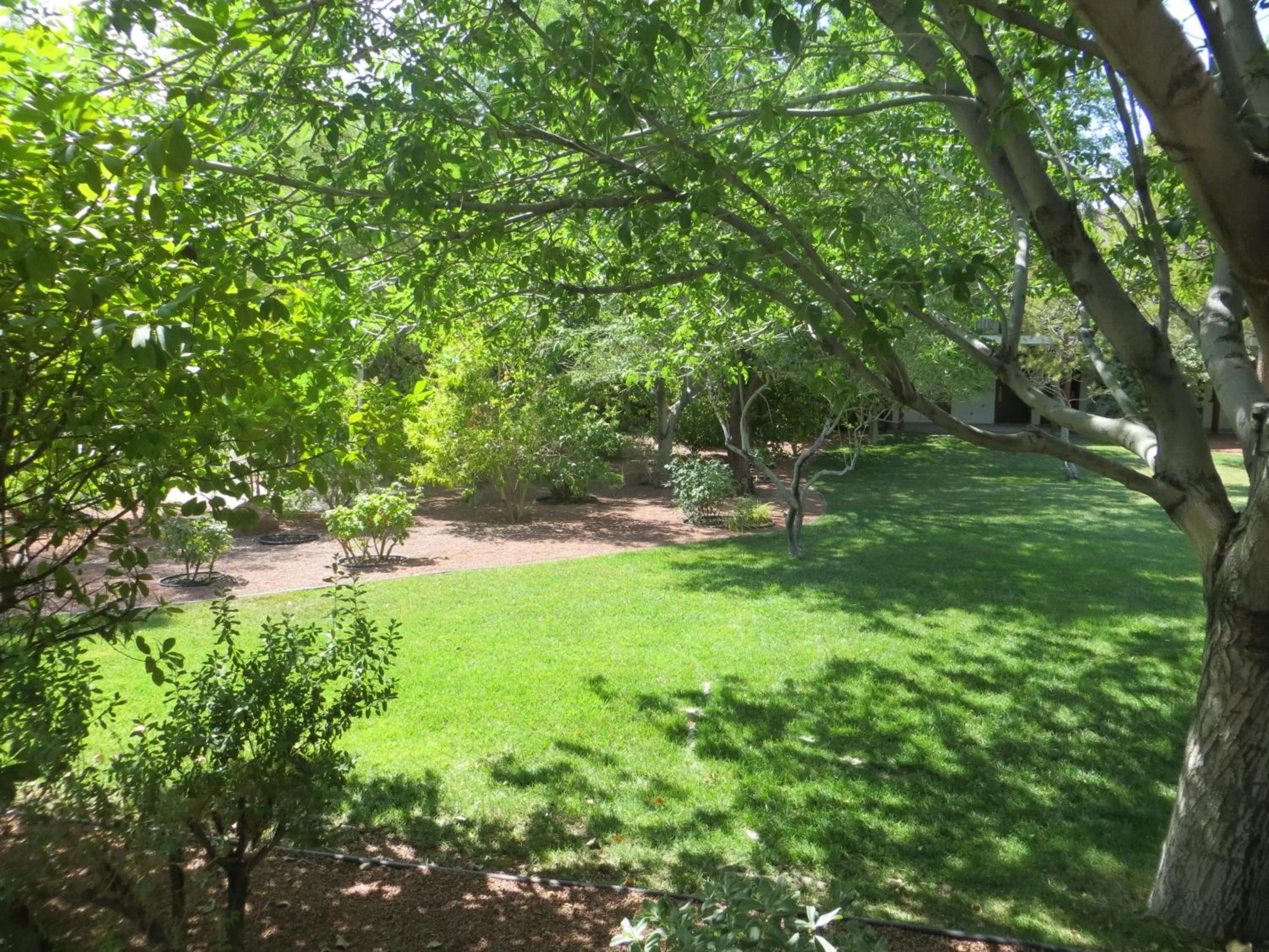 Area and facilities in Saddle West Casino Hotel