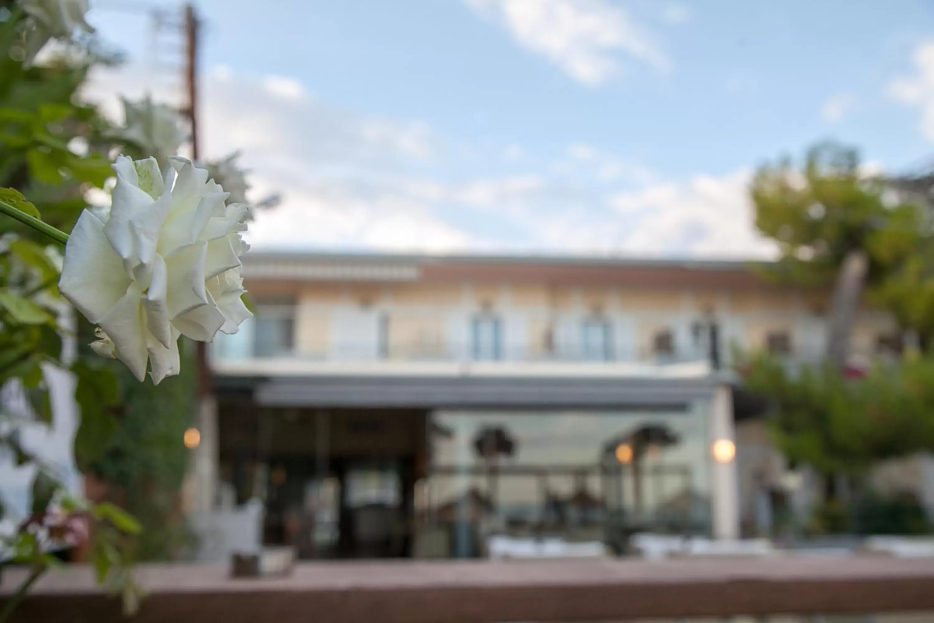 Restaurant/places to eat in Ignatia Hotel Restaurant/places to eat in Ignatia Hotel