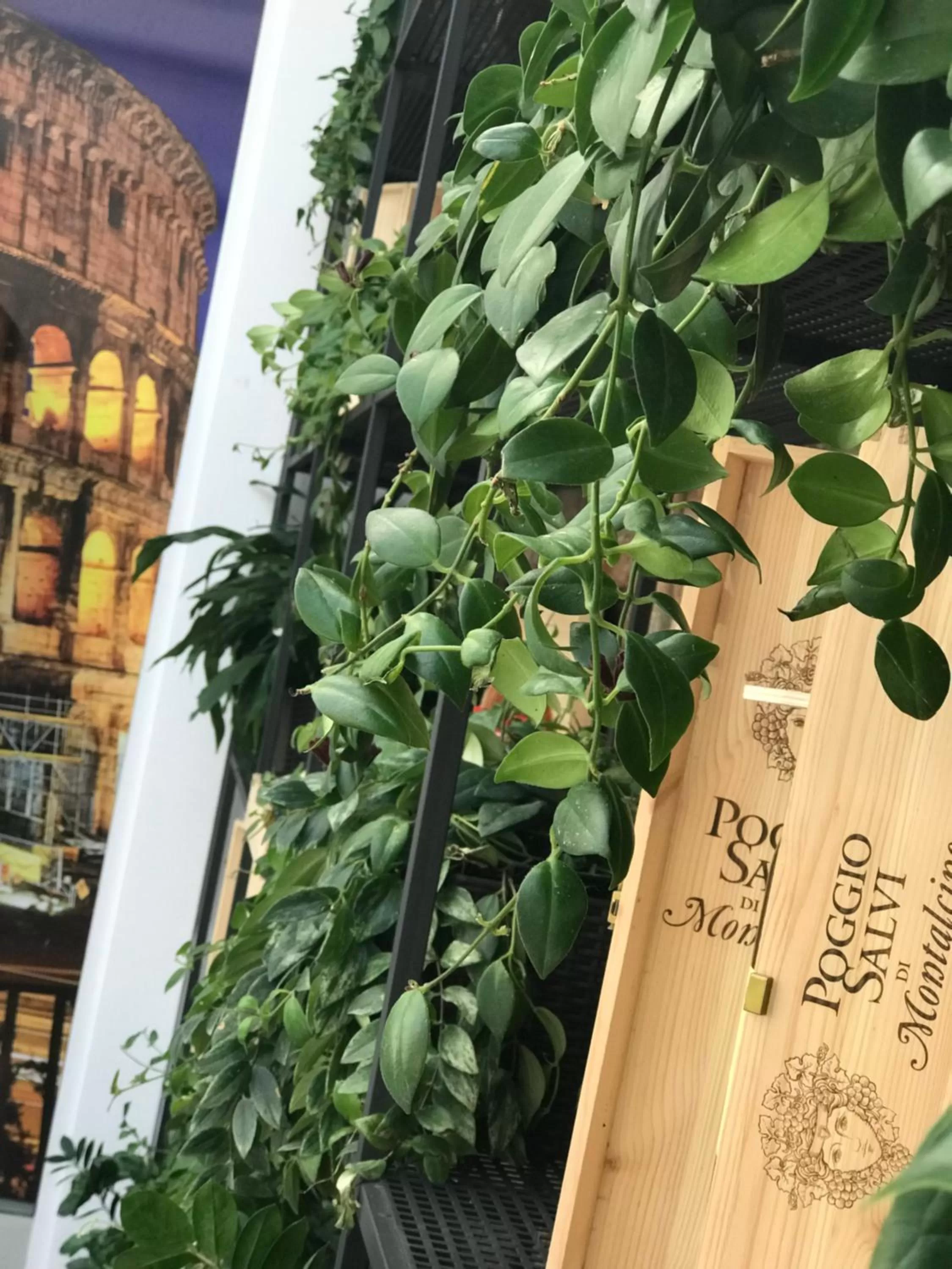 Communal lounge/ TV room in Hotel Colosseo Tirana