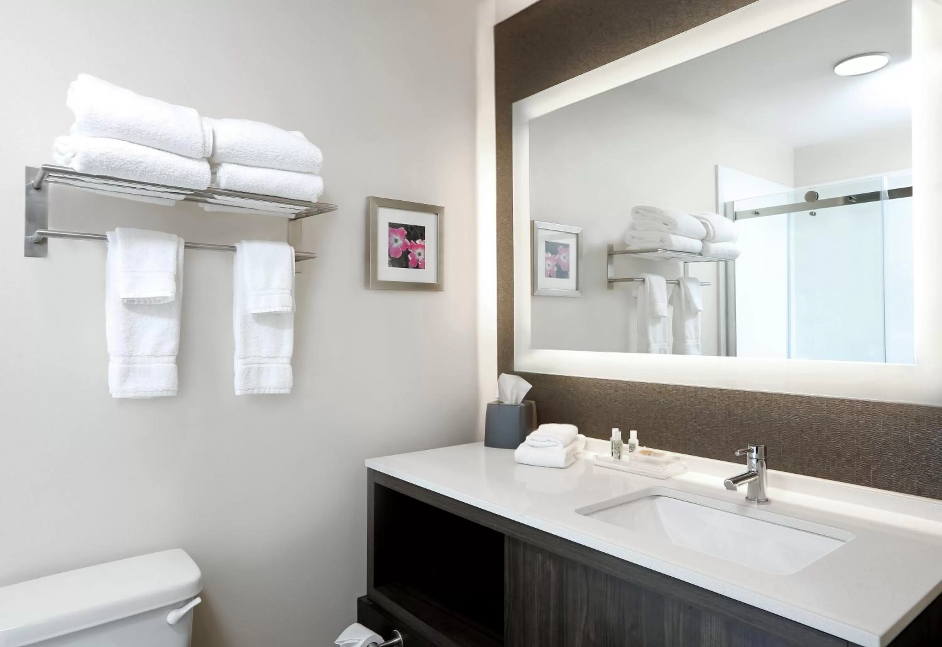 Bathroom in Holiday Inn & Suites Sioux Falls - Airport by IHG