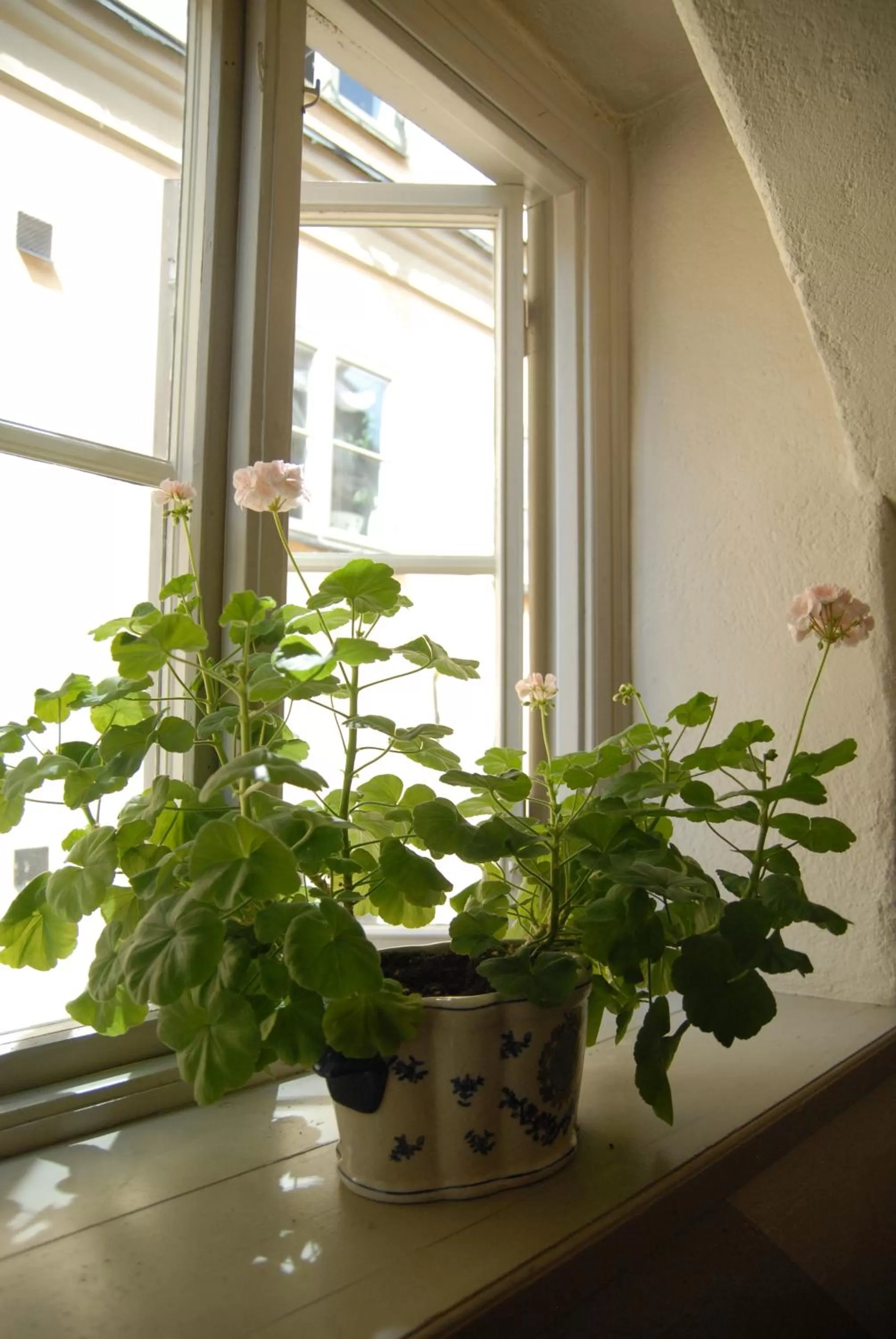 Hotel Sven Vintappare