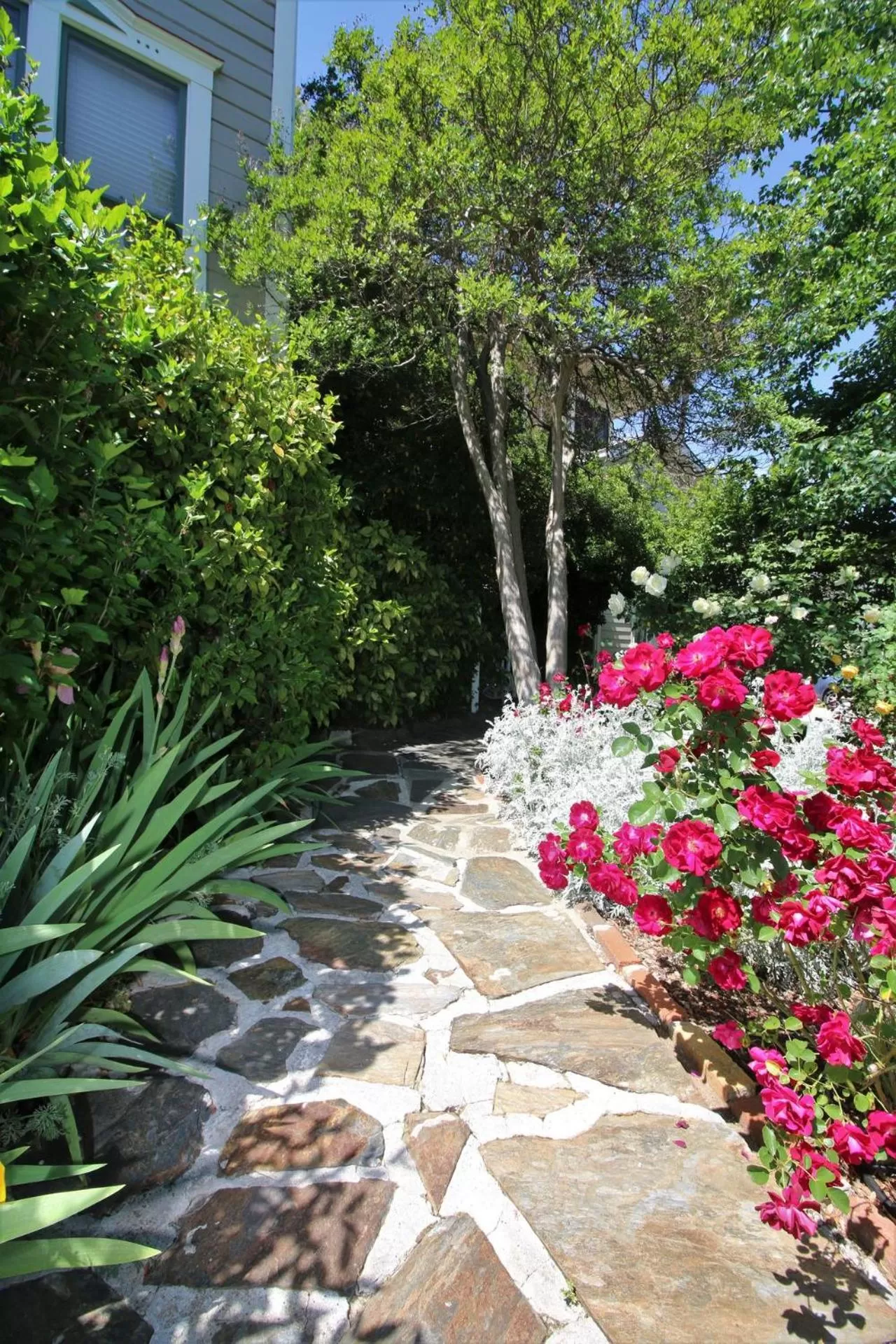 Garden in Bradford Place Inn (California)