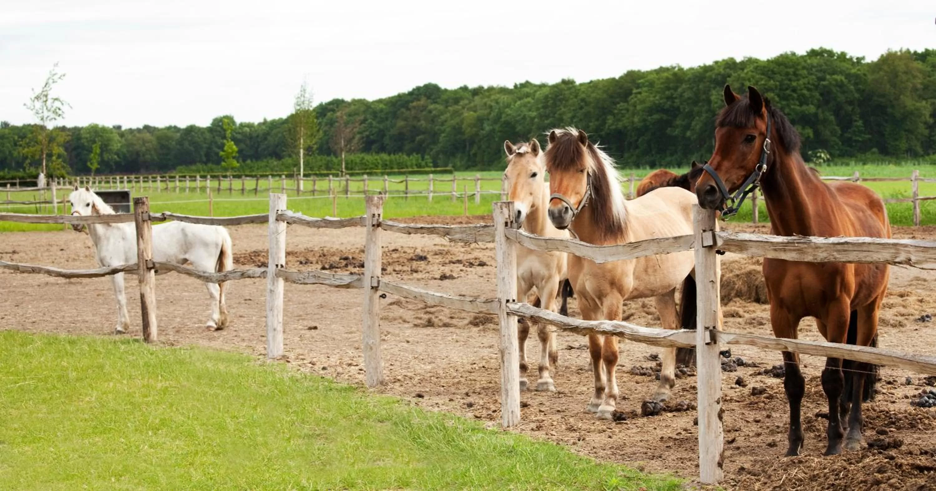 Property building in Hotel Restaurant D'n Dries