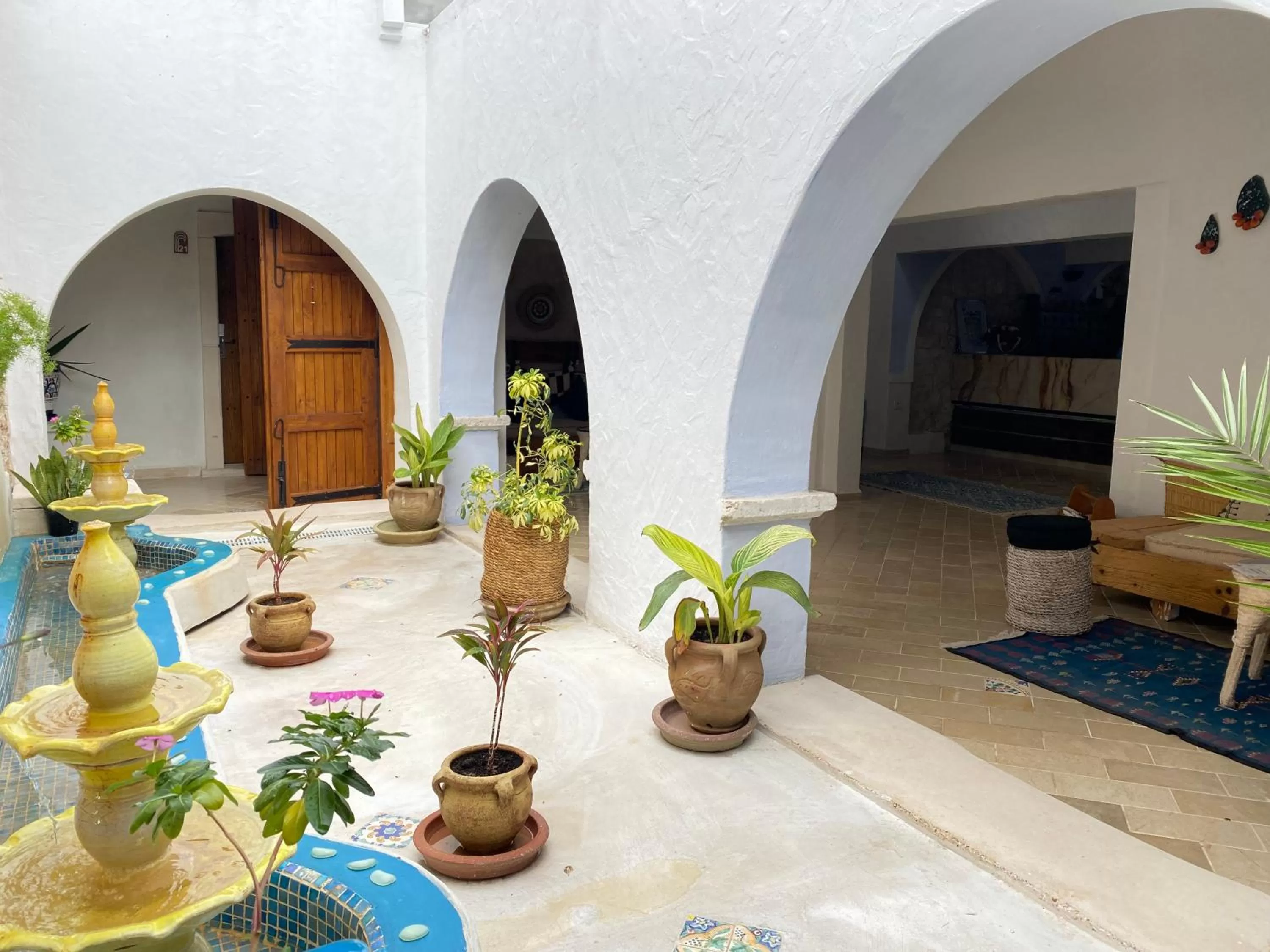 Garden in Djerba Authentique