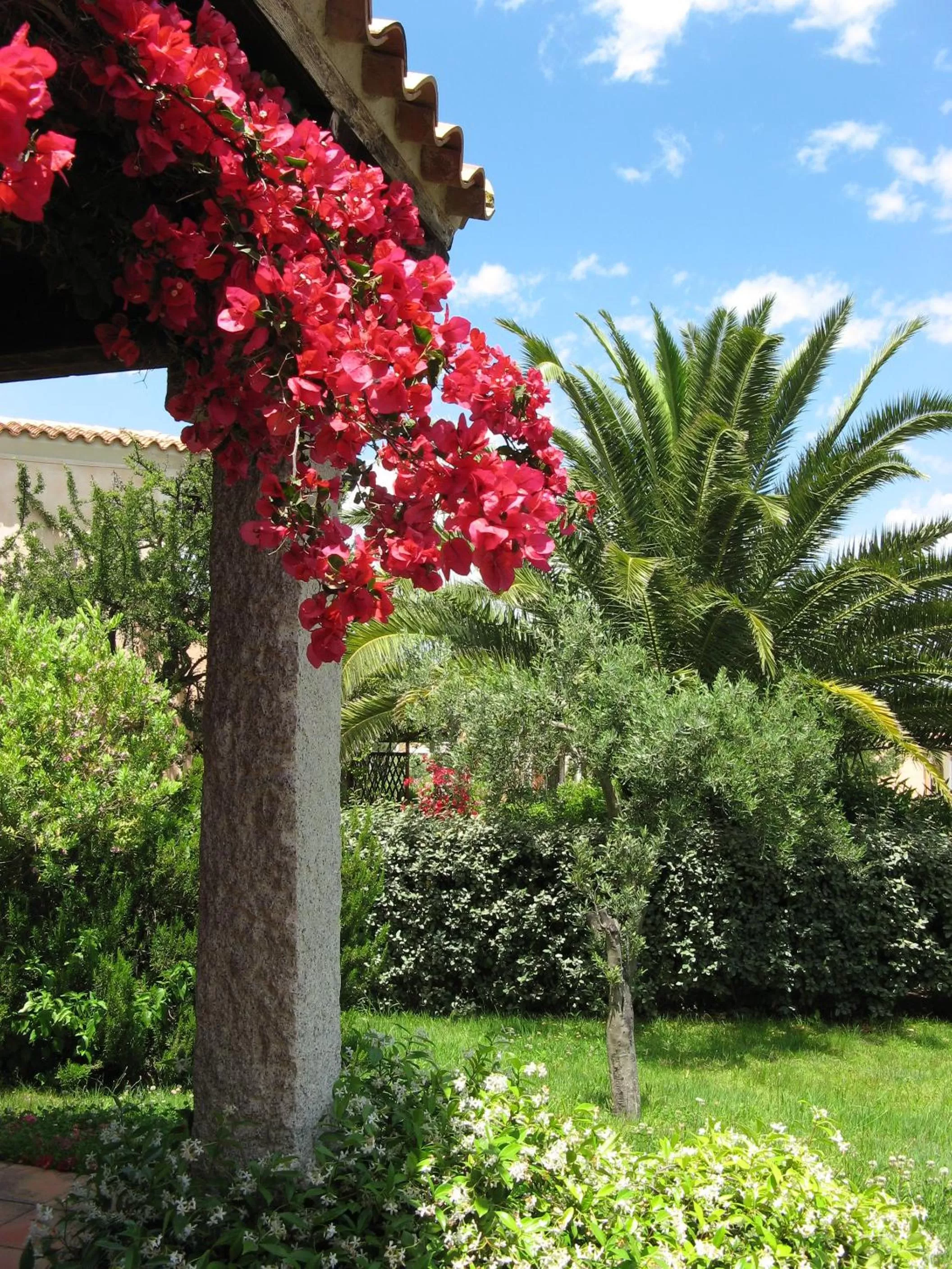 Garden in Porto Ottiolu Resort
