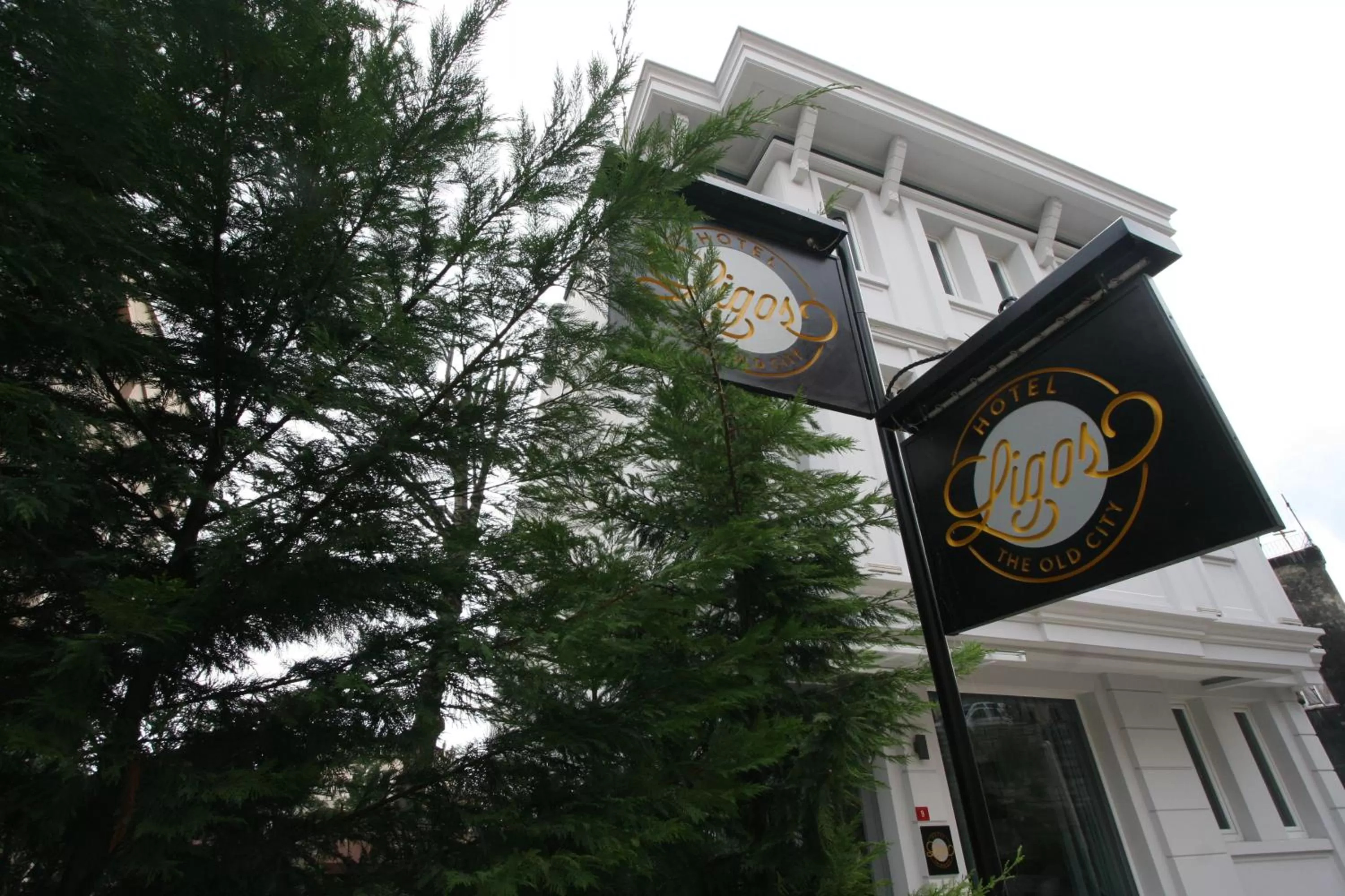 Property building in Ligos